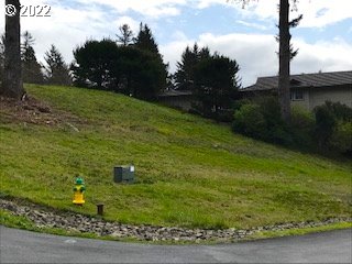 Braeridge Drive, Unit 10 Nehalem, OR 97131 - Photo 8 of 26 a view of a garden with an outdoor space