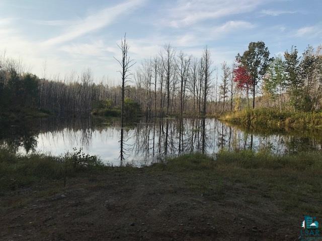 11118 Mirbat Road Floodwood, MN 55736 - Photo 1 of 4 Gallery Image 1