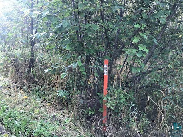 11118 Mirbat Road Floodwood, MN 55736 - Photo 3 of 4 Gallery Image 3