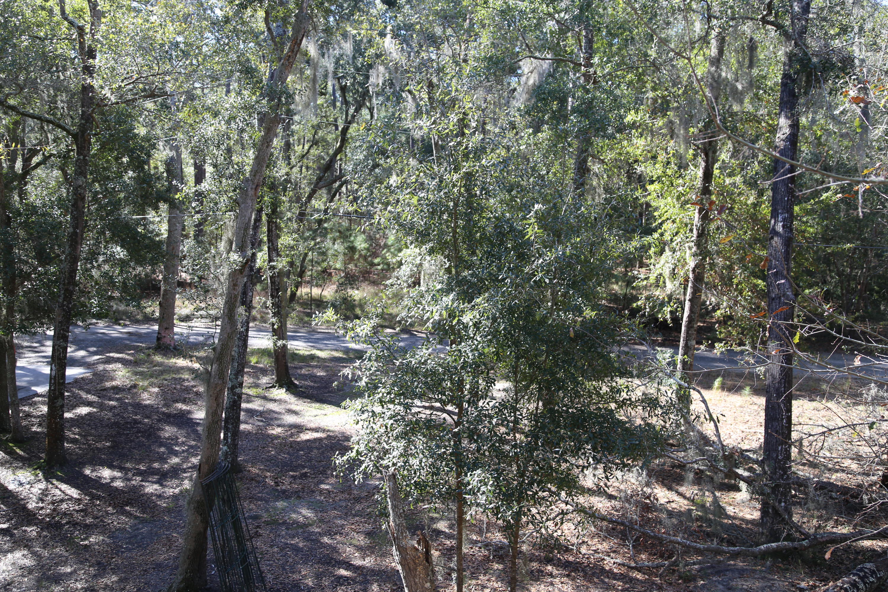 24 Cotton Bay Road Edisto Island, SC 29438 - Photo 22 of 36 IMG_4774