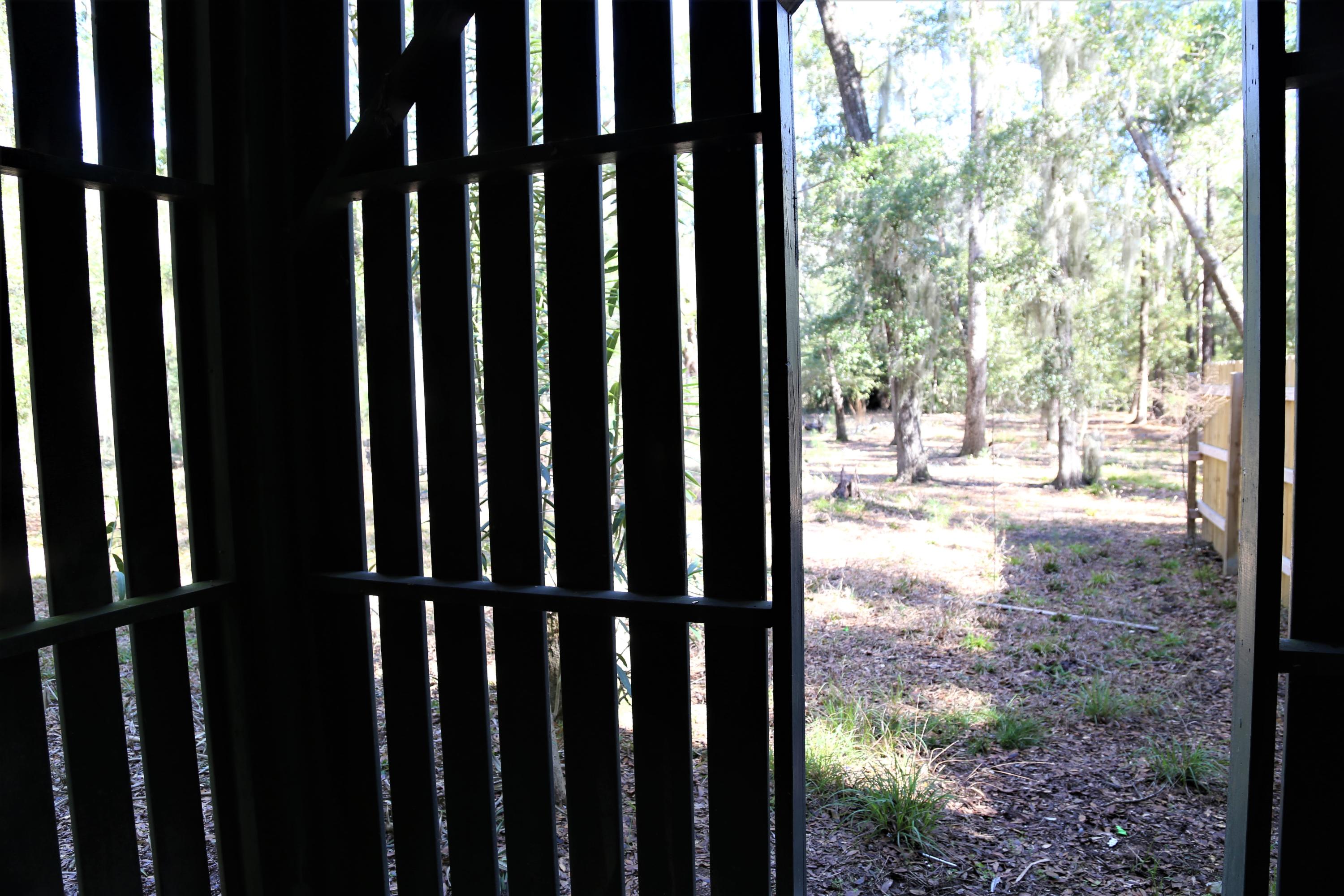 24 Cotton Bay Road Edisto Island, SC 29438 - Photo 29 of 36 IMG_4804