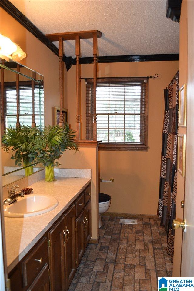 3992 Red Valley Road Remlap, AL 35133 - Photo 9 of 43