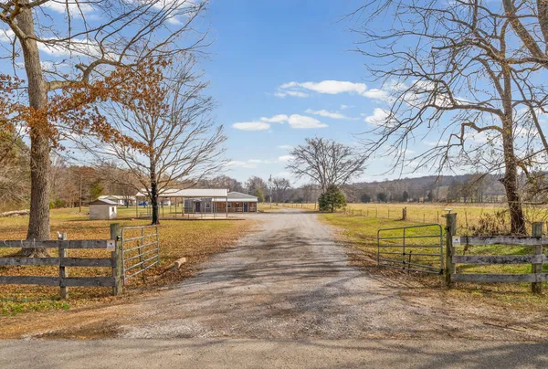 a view of an ocean with trees