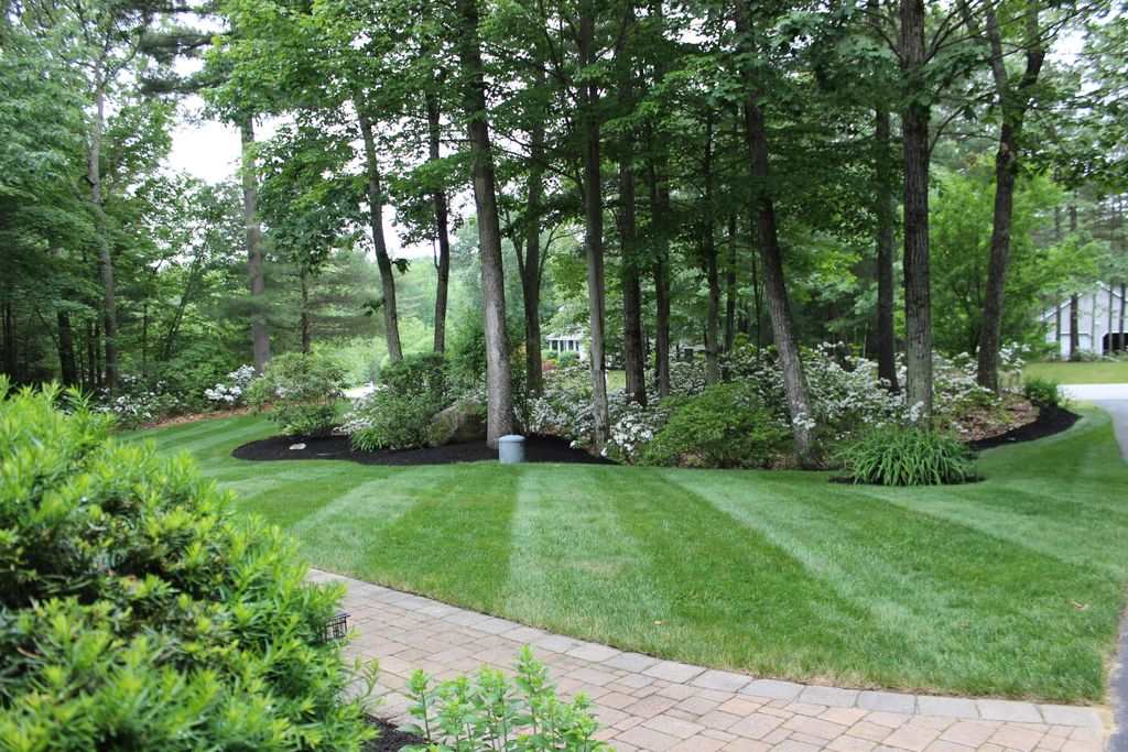 47 Noons Quarry Road Milford, NH 03055 - Photo 4 of 33