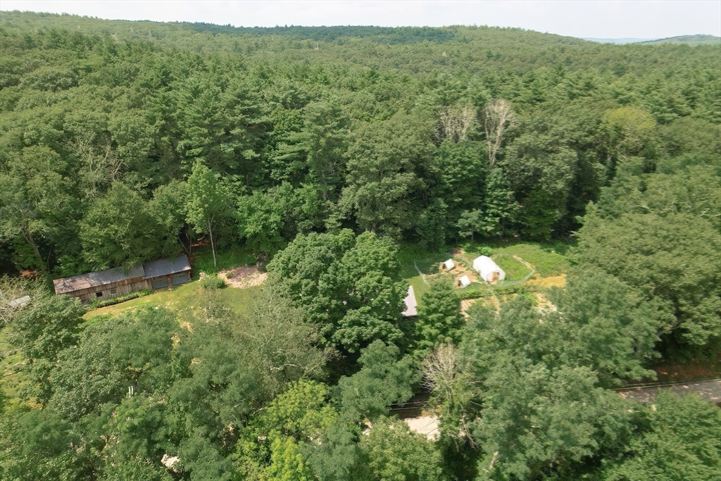 366 Breakneck Road Southbridge, MA 01550 - Photo 30 of 33 a view of a lush green forest with trees and some houses