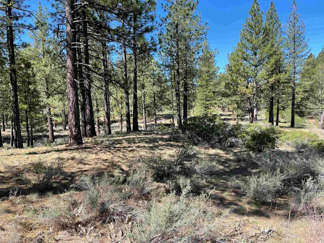 a view of outdoor space with trees