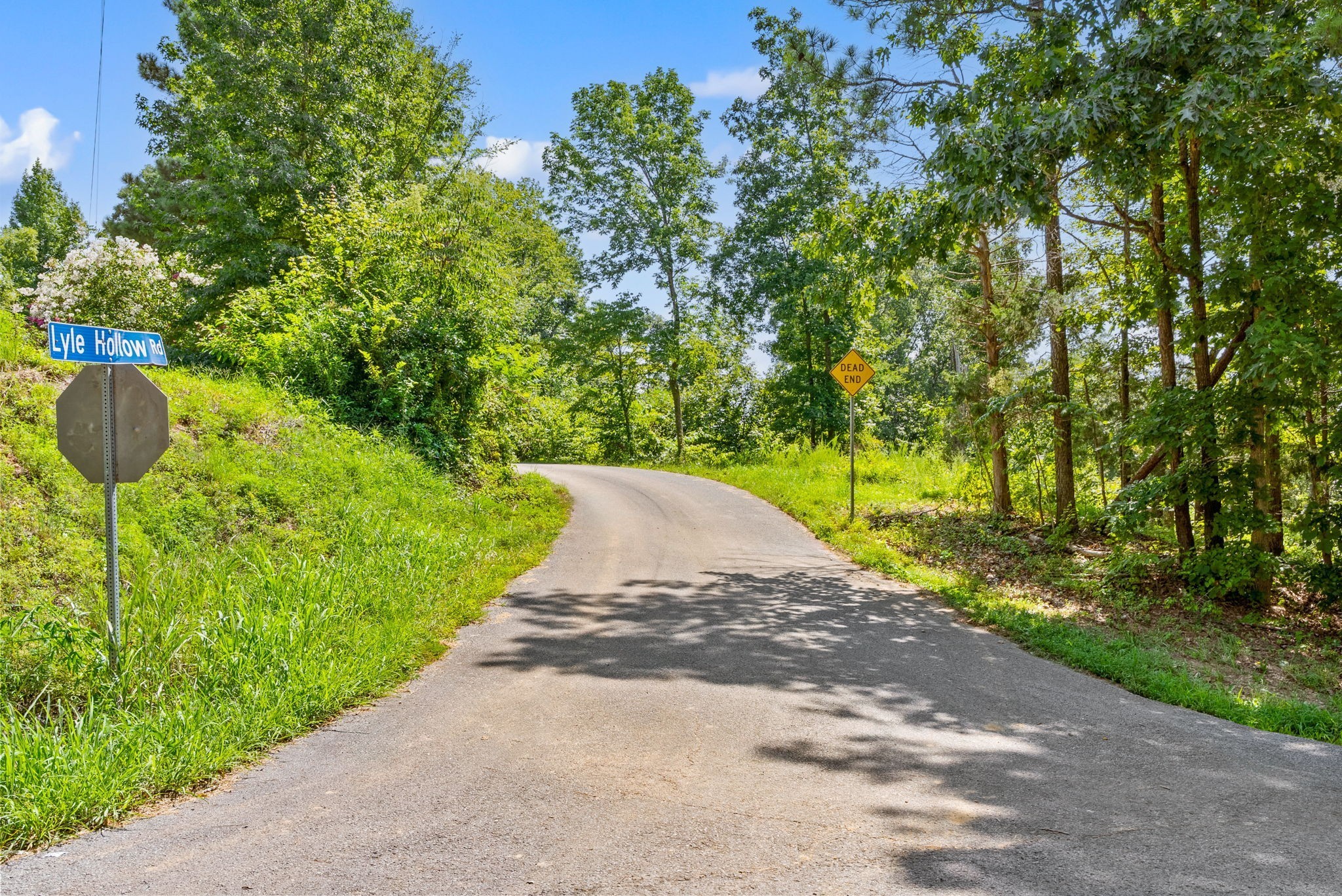 3 Lyle Hollow Road Palmyra, TN 37142 - Photo 54 of 55 Gallery Image 54
