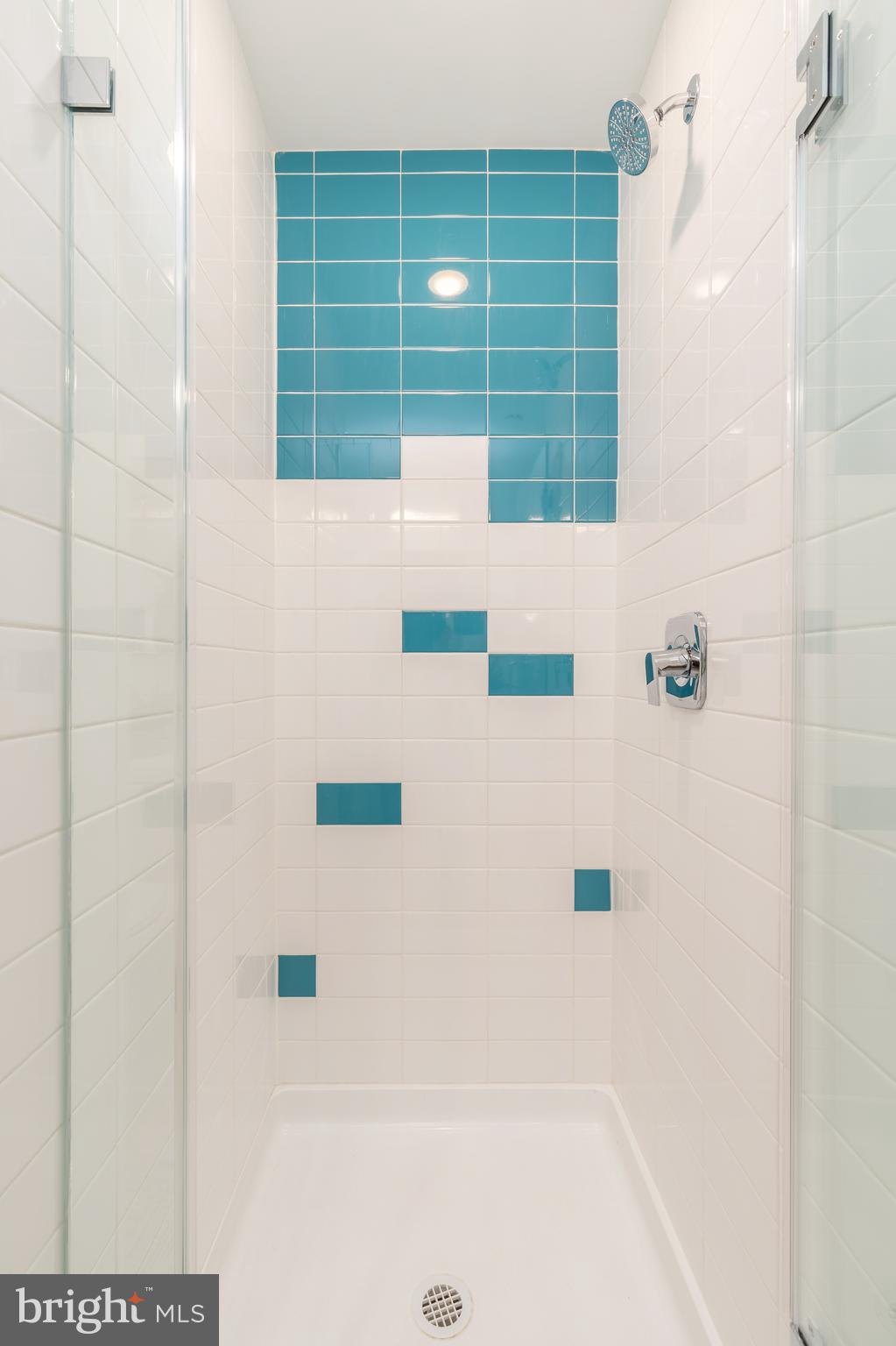 1131-39 North Front Street, Unit 503 Philadelphia, PA 19123 - Photo 33 of 44 a bathroom with a shower