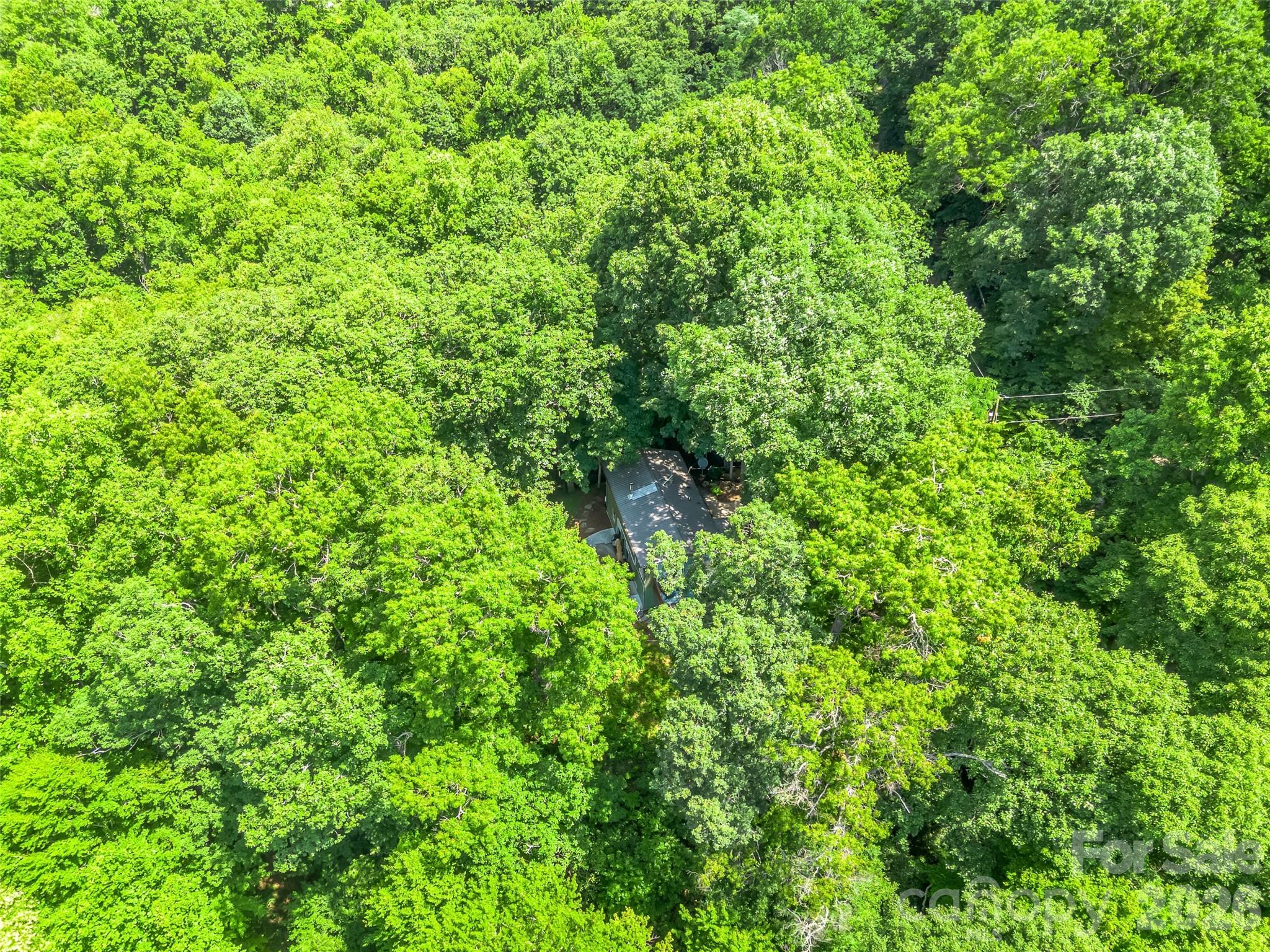 20 Kimberly Road Black Mountain, NC 28711 - Photo 46 of 46