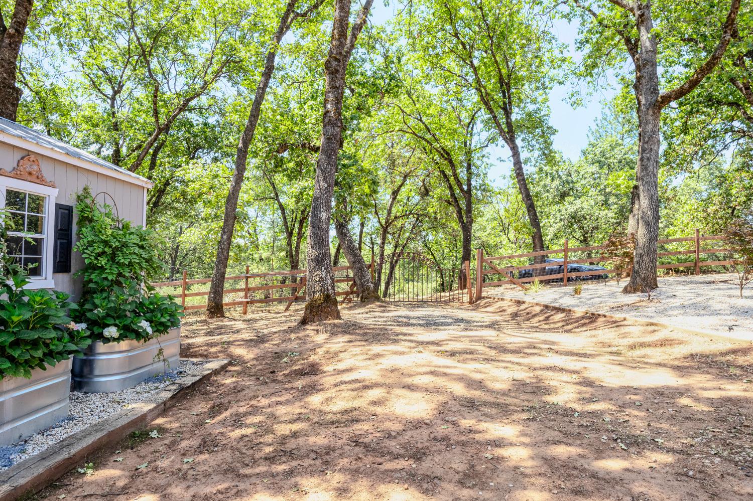 27689 Table Meadow Road Auburn, CA 95602 - Photo 66 of 72 a view of a backyard with palm trees