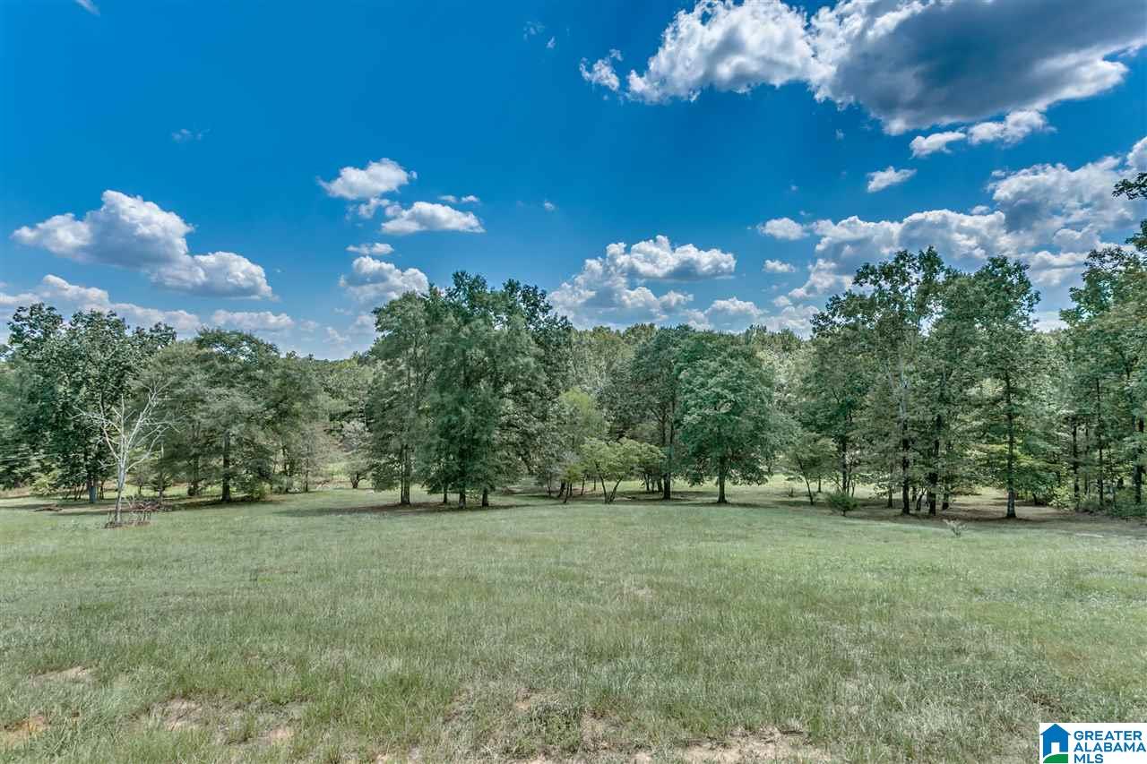 184 Jenkins Farm Road Helena, AL 35080 - Photo 9 of 25