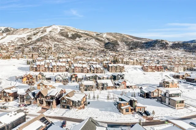 an aerial view of residential houses and city view