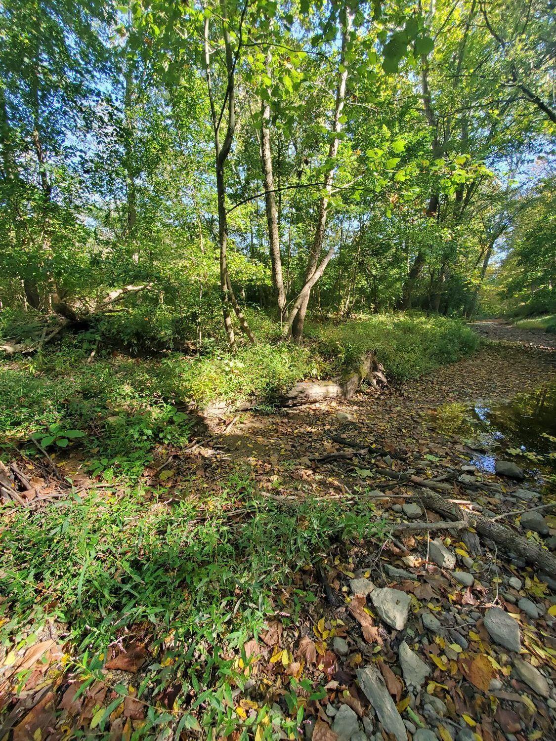 133 Wayne Twp Oh 45107 Blanchester, OH 45107 - Photo 1 of 3