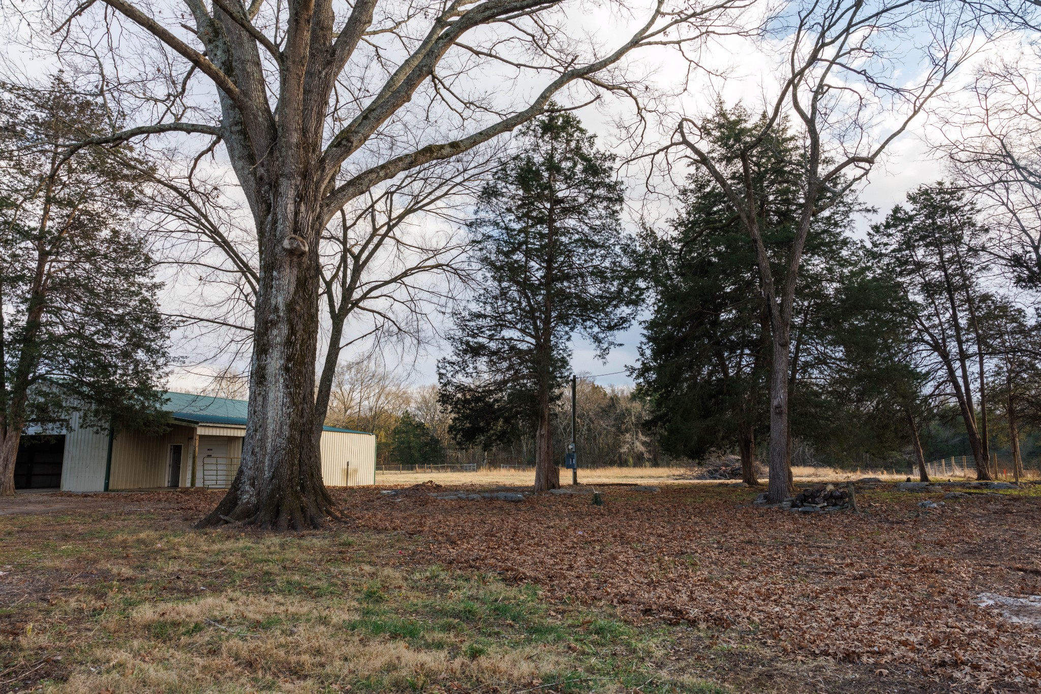2239 Hunter Bills Road Lewisburg, TN 37091 - Photo 37 of 53 a view of a tree in the middle of a yard