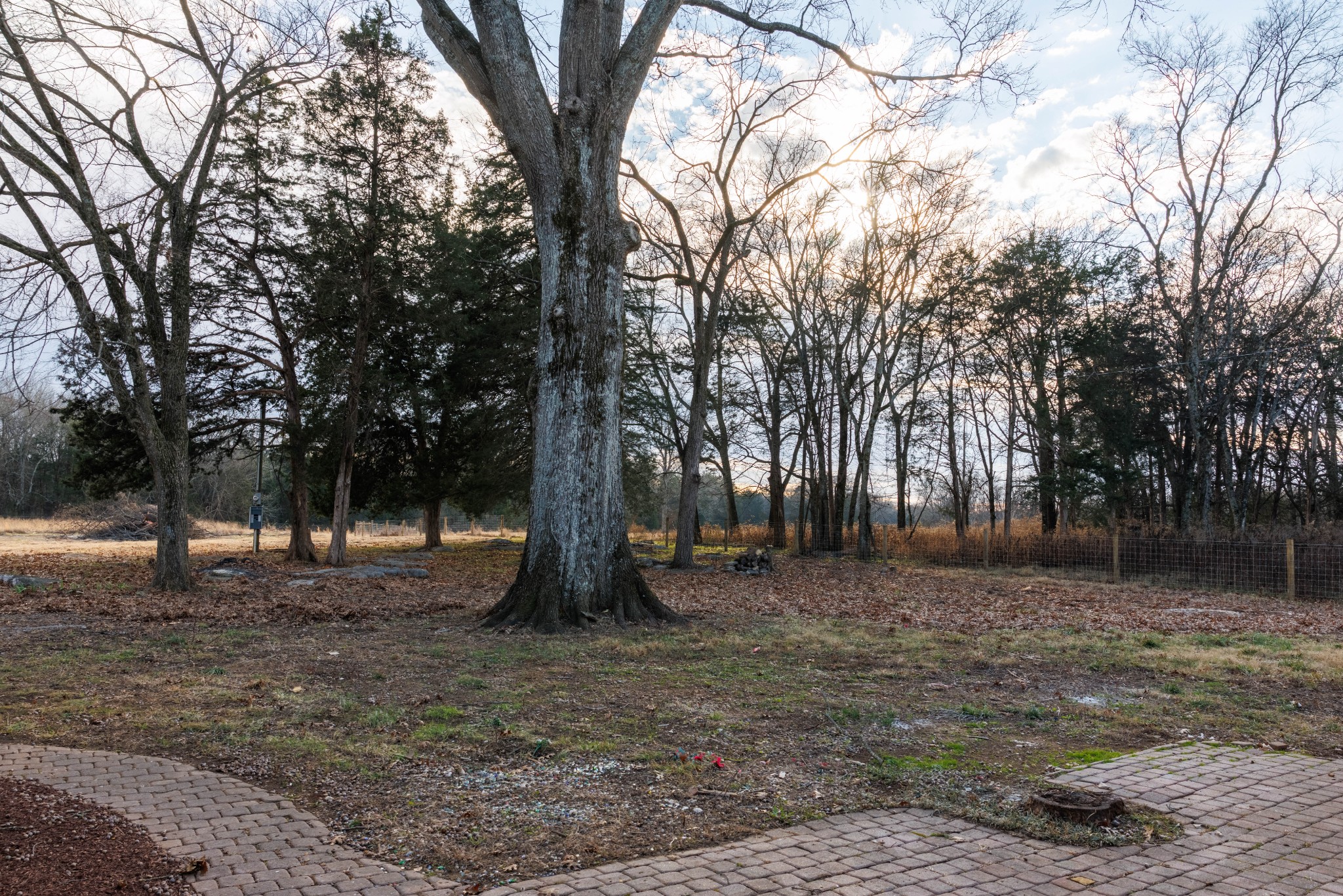 2239 Hunter Bills Road Lewisburg, TN 37091 - Photo 38 of 53 a backyard of a house with lots of green space