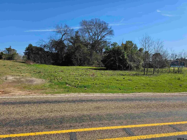 a view of a yard with a large tree