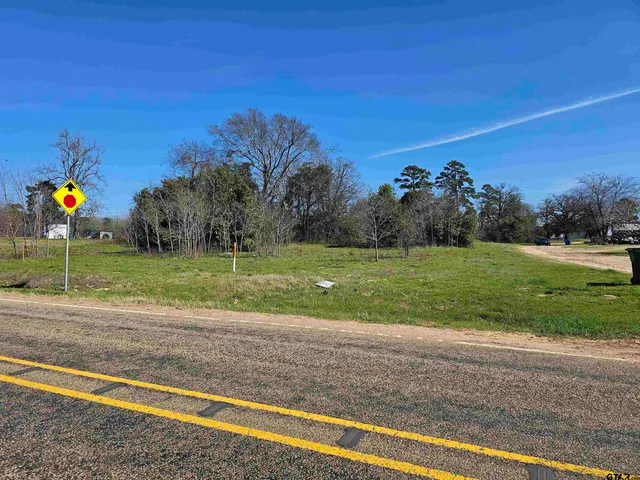 a view of a golf course with a park