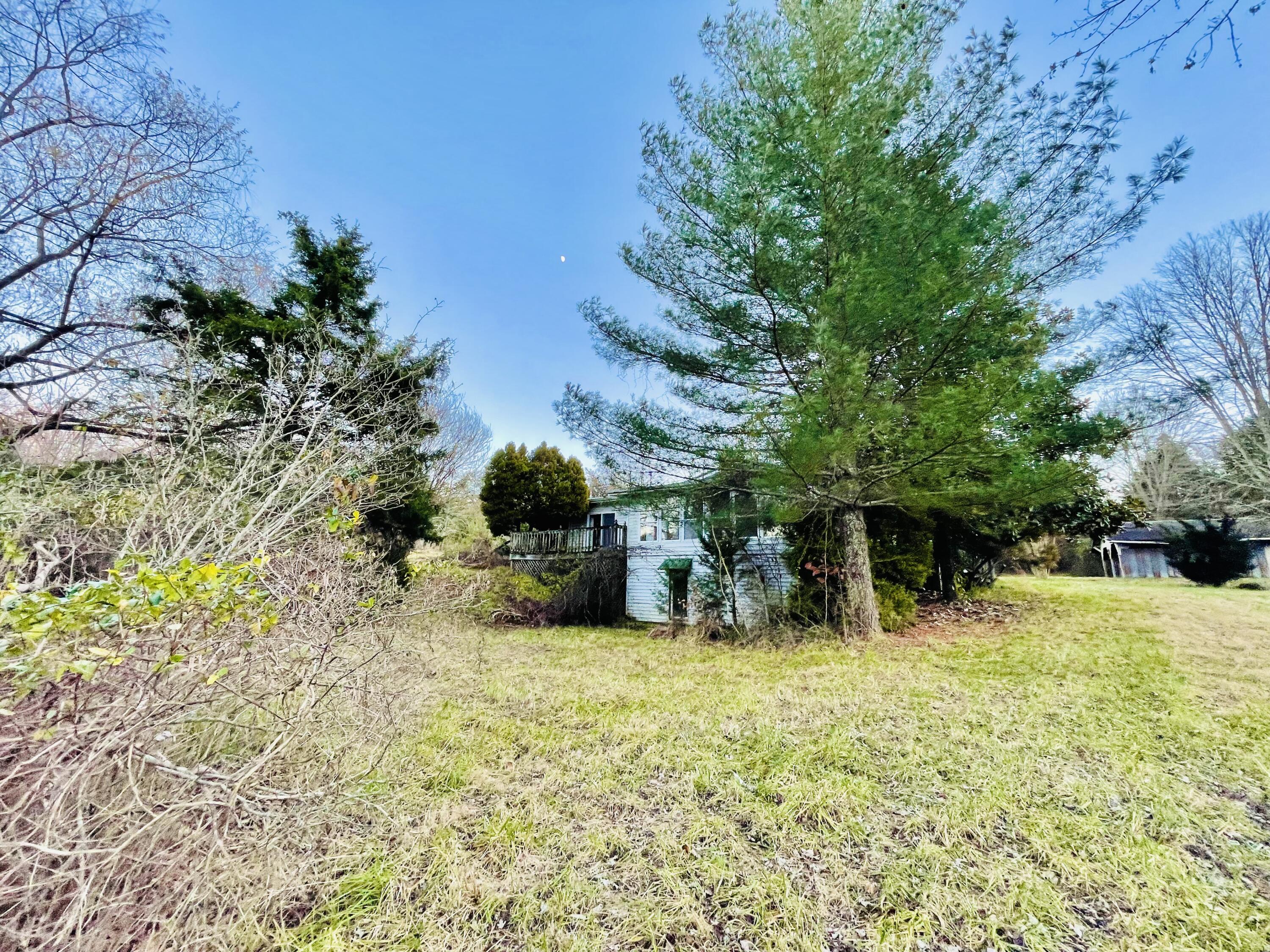 515 Gregg Mill Road Greeneville, TN 37743 - Photo 19 of 102 Back of the main home.