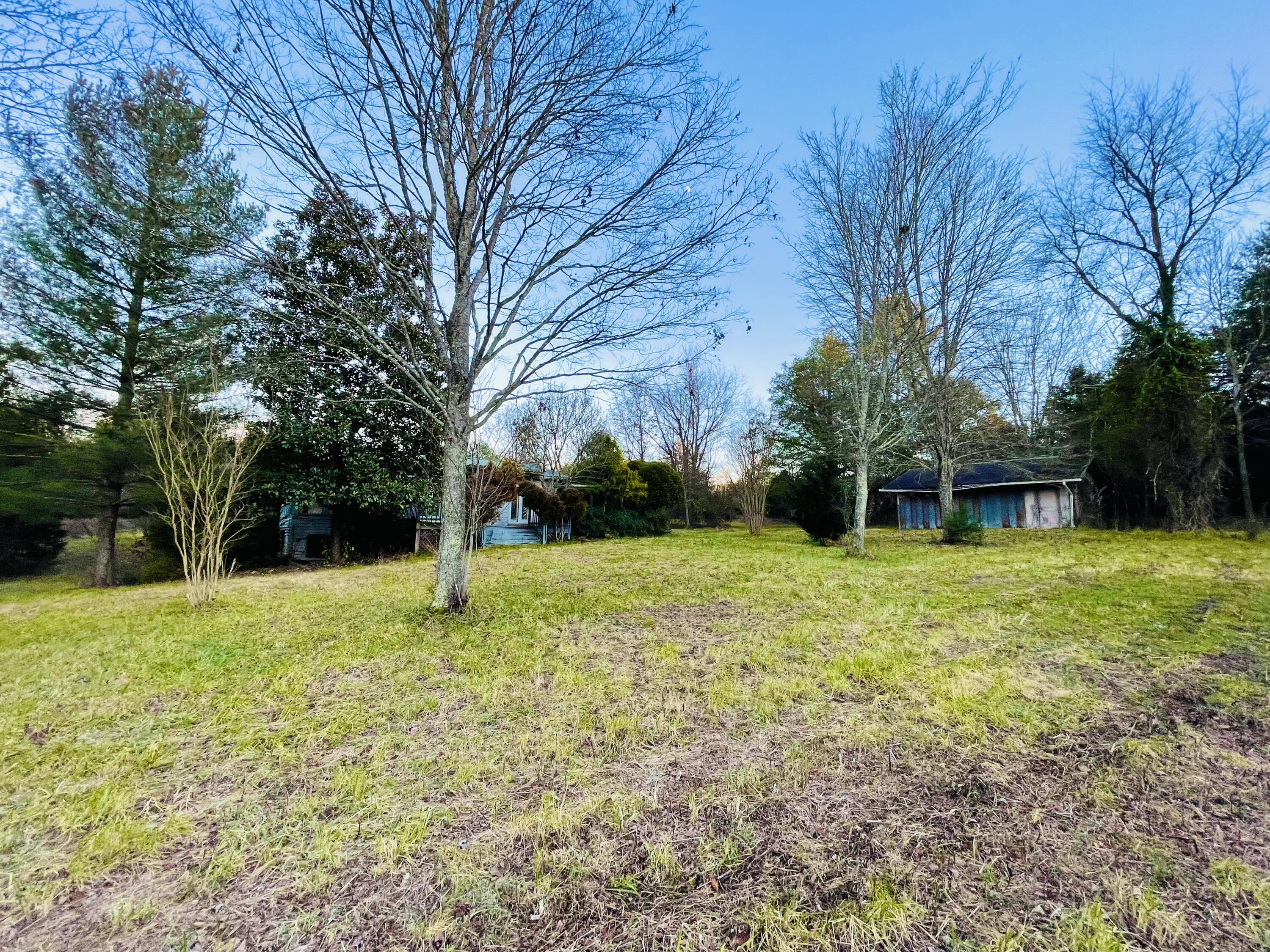 515 Gregg Mill Road Greeneville, TN 37743 - Photo 23 of 102 Rolling pasture land