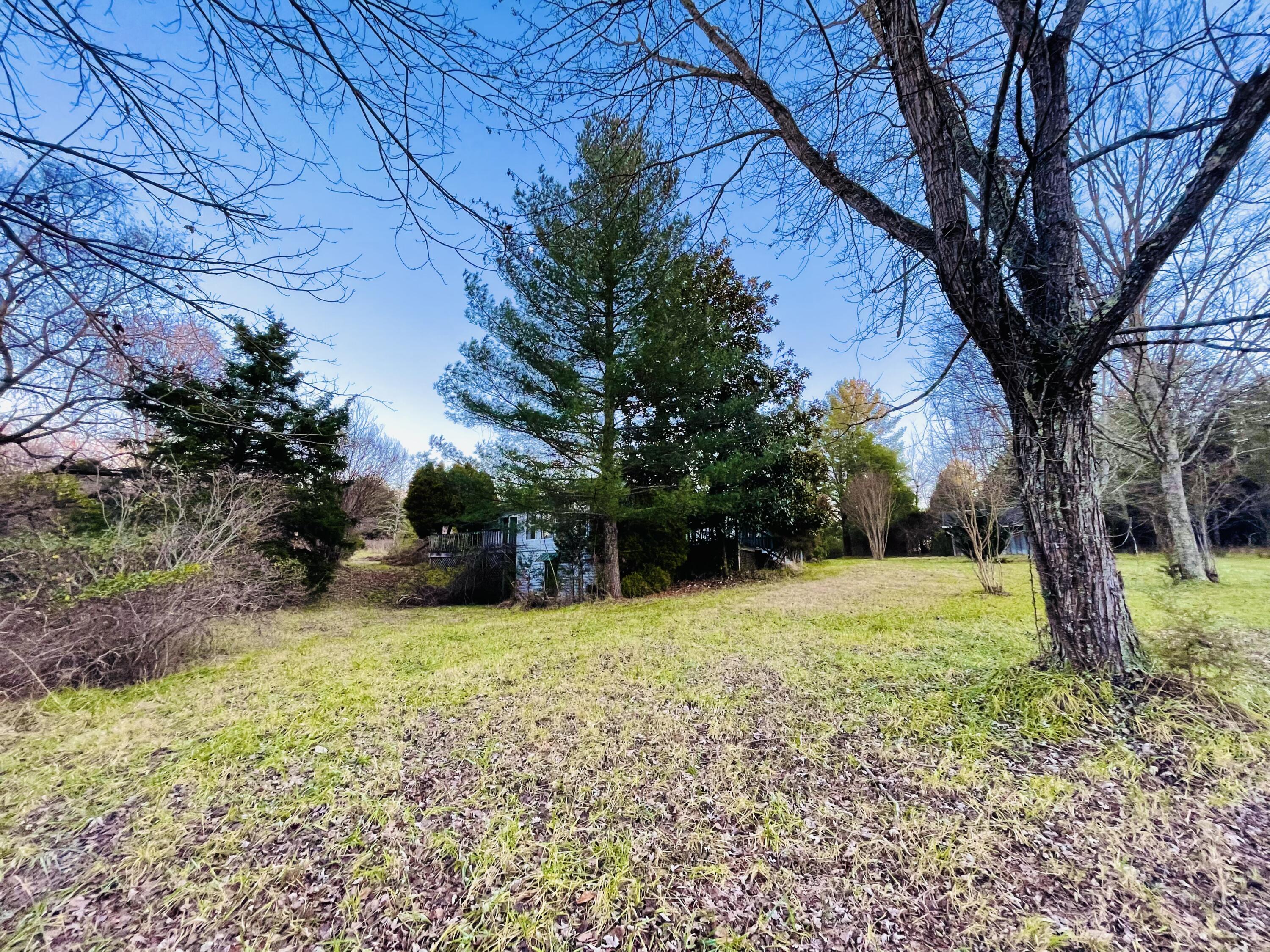 515 Gregg Mill Road Greeneville, TN 37743 - Photo 24 of 102 Side & back view.