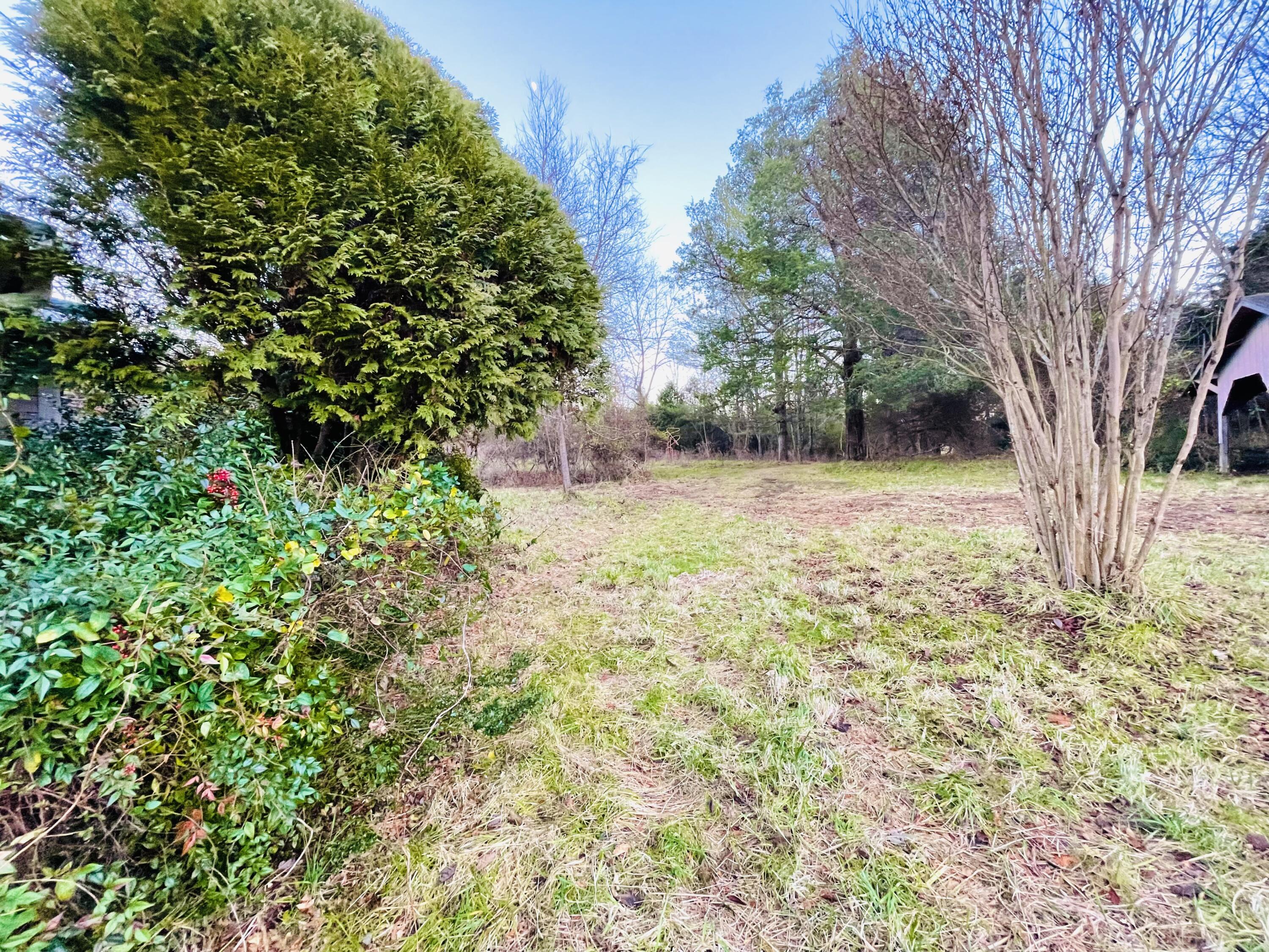 515 Gregg Mill Road Greeneville, TN 37743 - Photo 26 of 102 Foliage around main home.