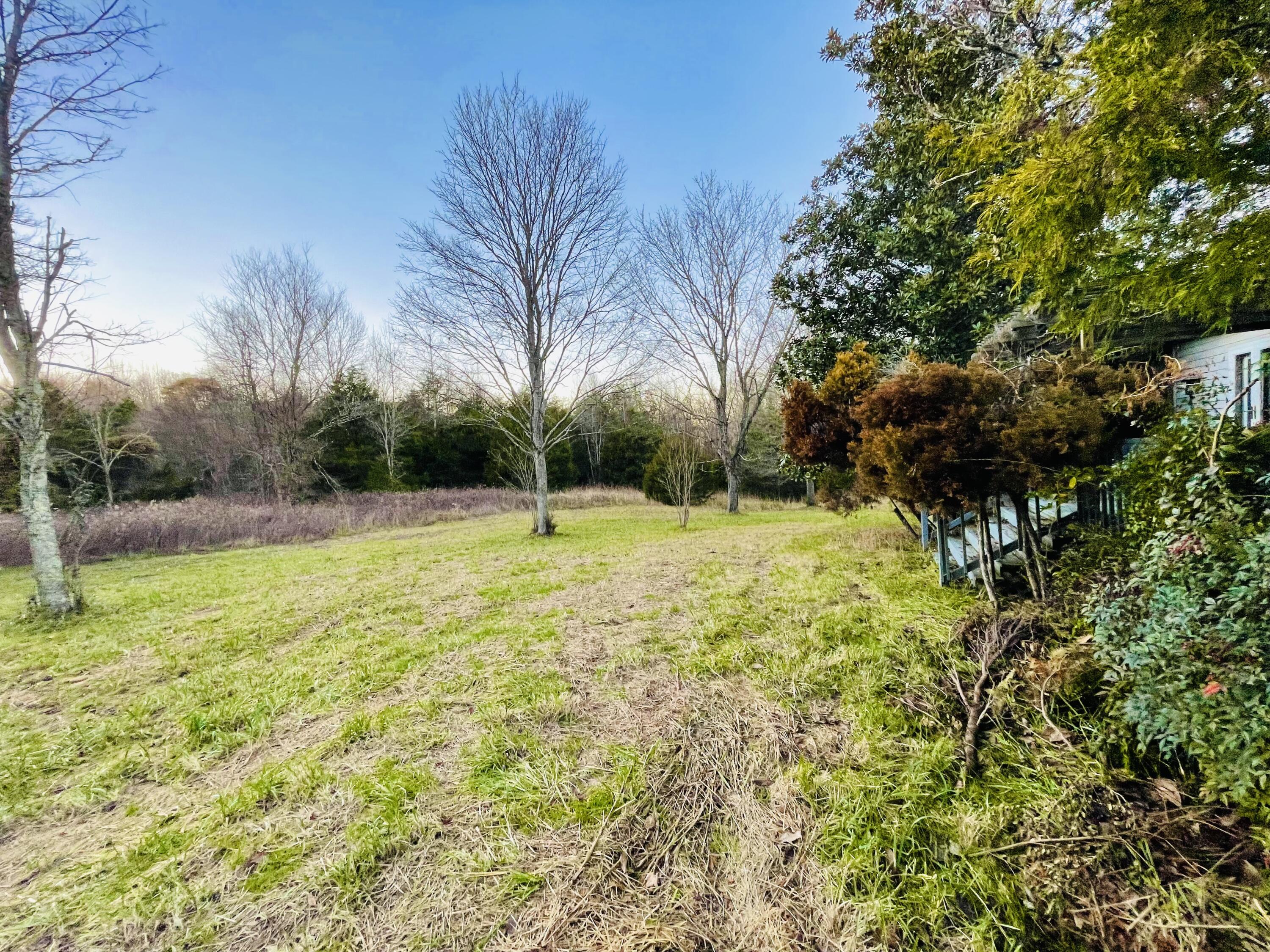 515 Gregg Mill Road Greeneville, TN 37743 - Photo 27 of 102 Side of main home.