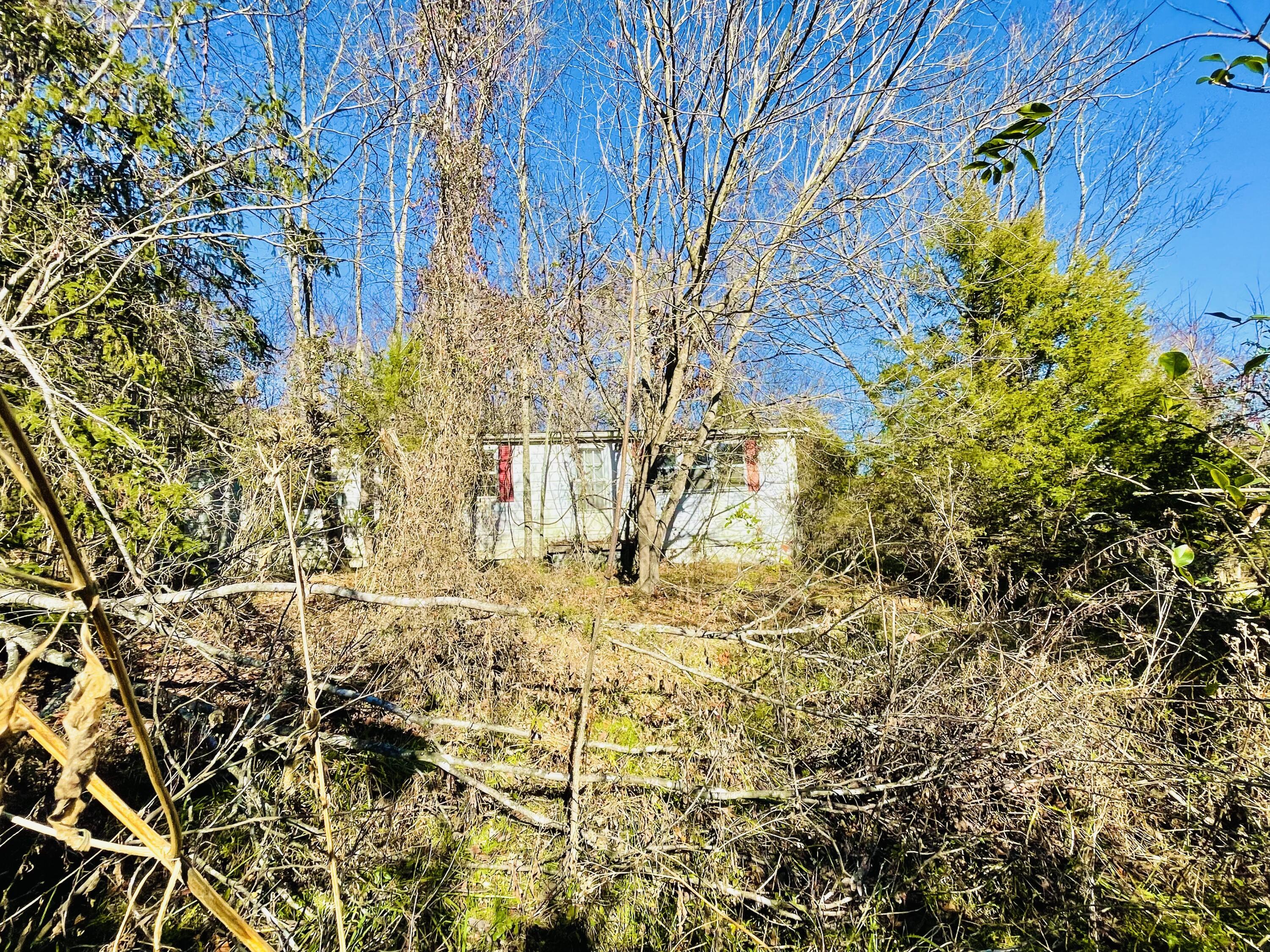 515 Gregg Mill Road Greeneville, TN 37743 - Photo 57 of 102 Front of home.