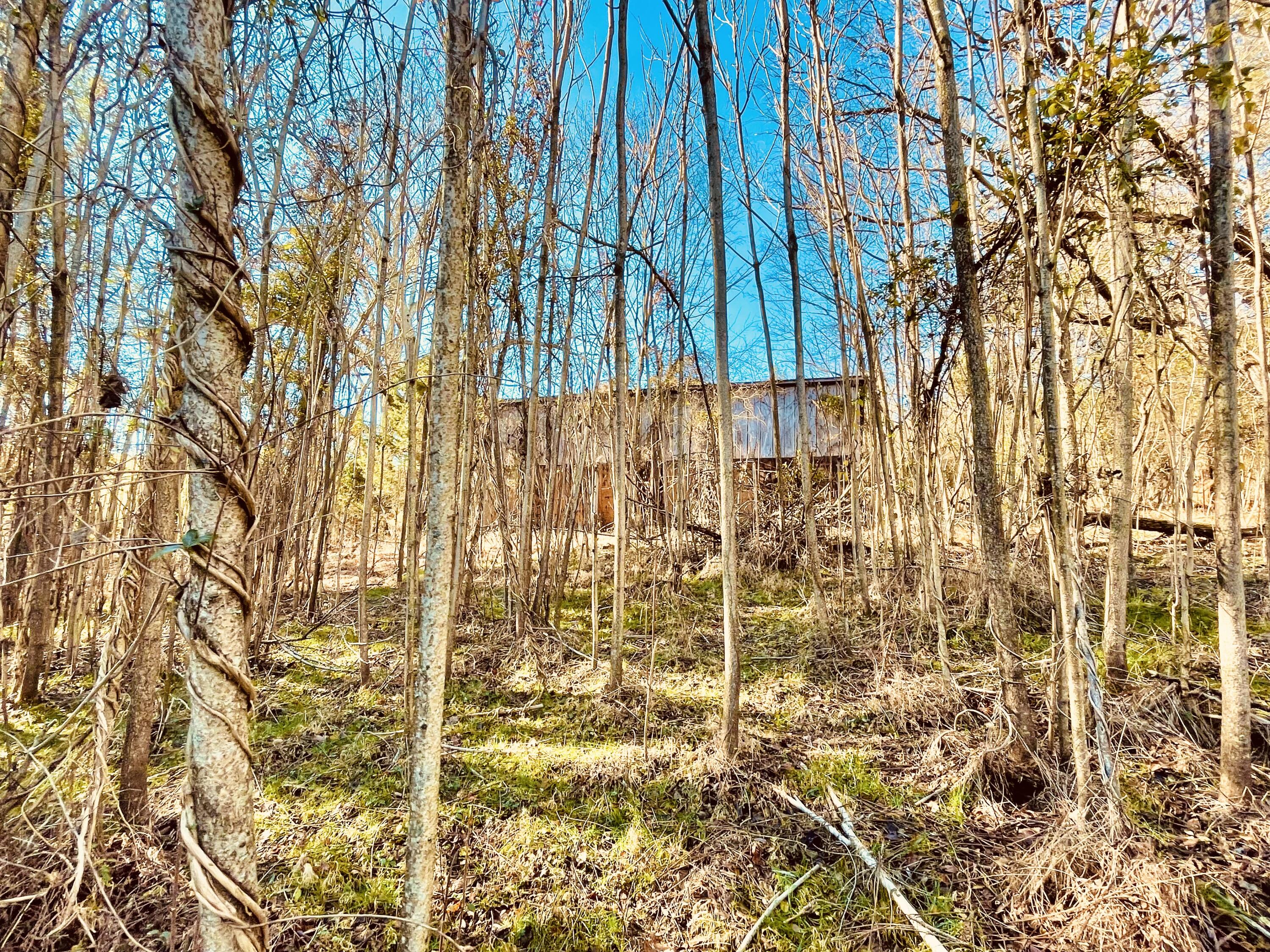 515 Gregg Mill Road Greeneville, TN 37743 - Photo 60 of 102 Wooded lot!