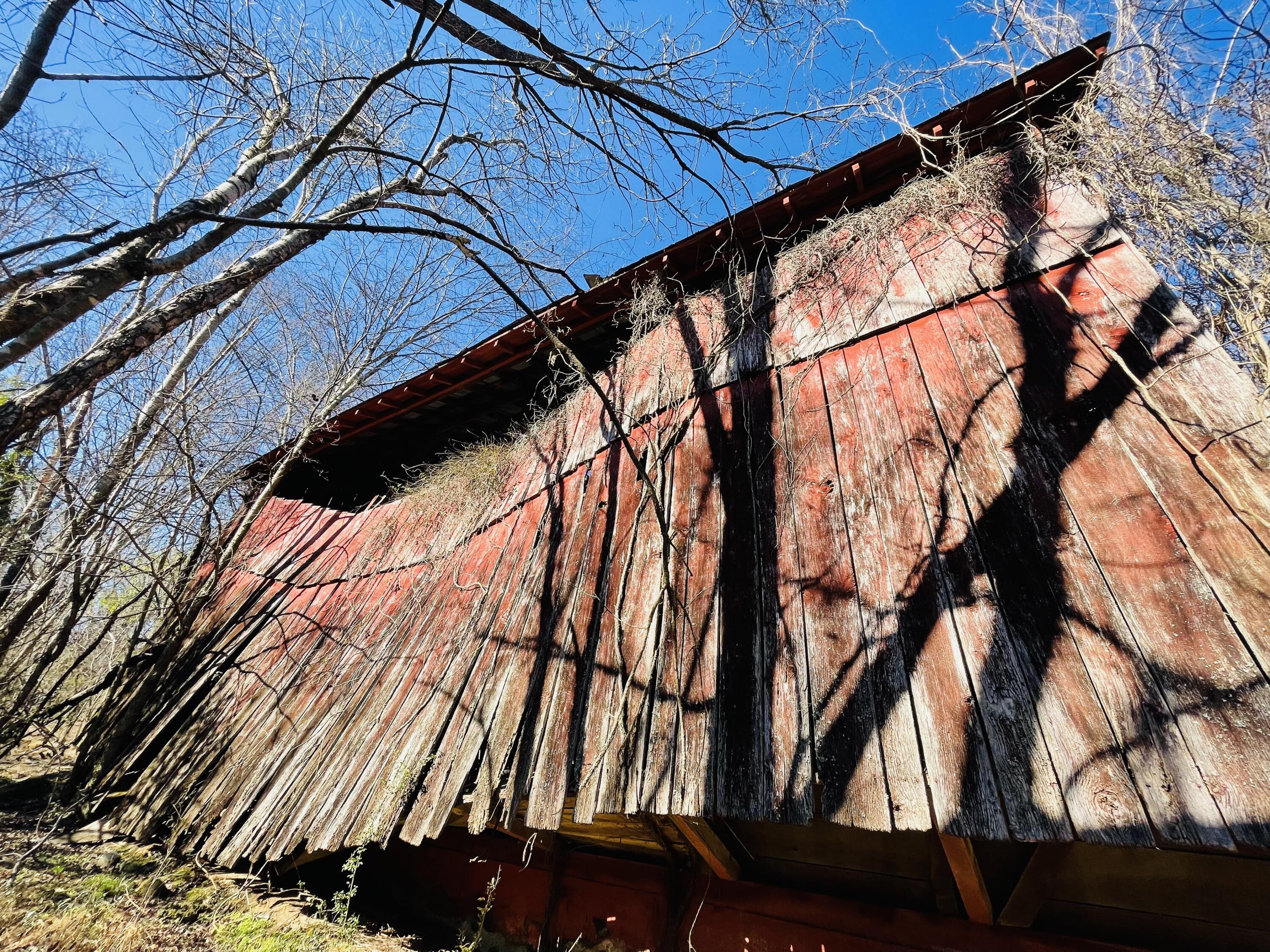 515 Gregg Mill Road Greeneville, TN 37743 - Photo 66 of 102 Side View.