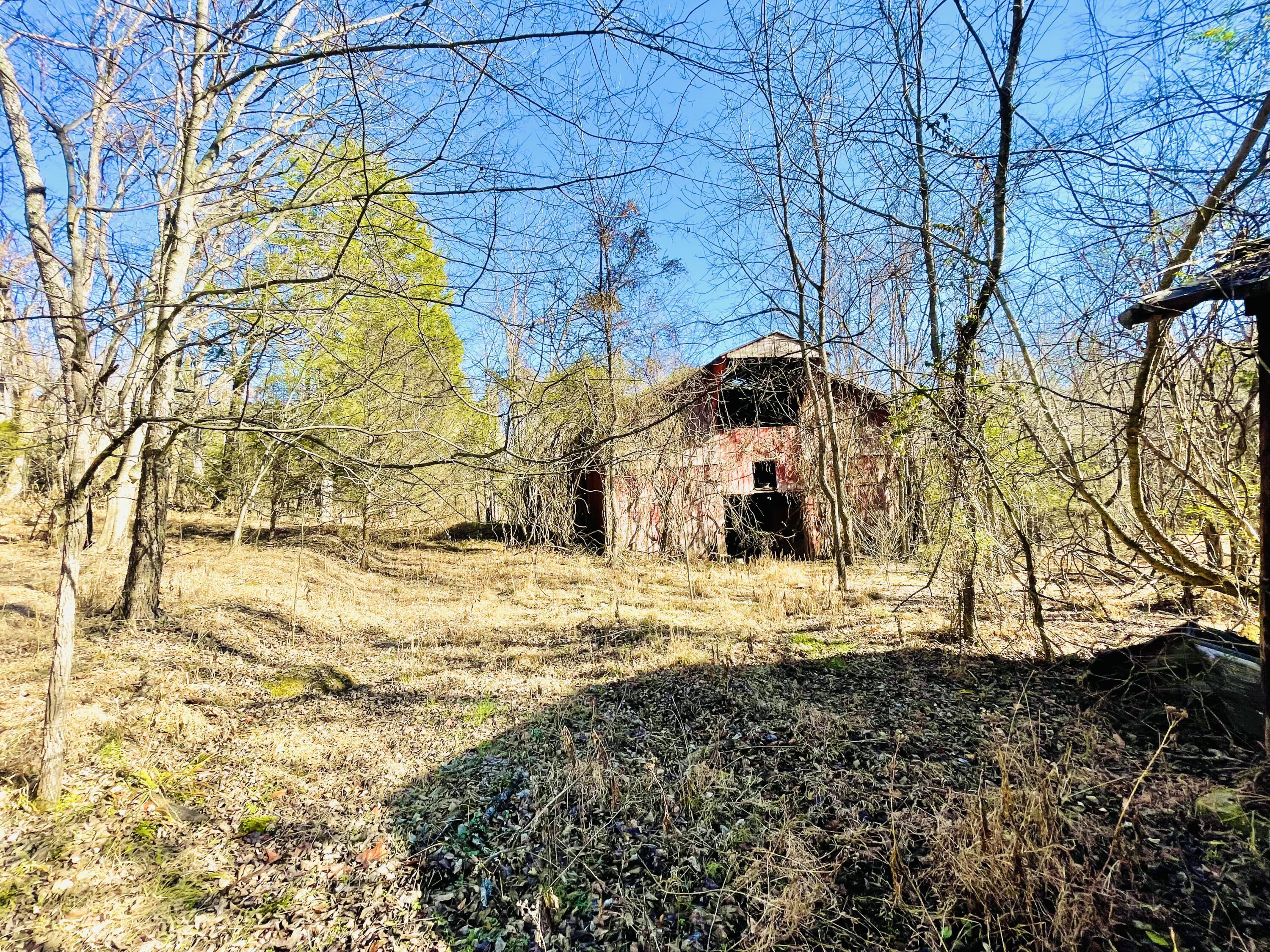 515 Gregg Mill Road Greeneville, TN 37743 - Photo 67 of 102 Horse Barn