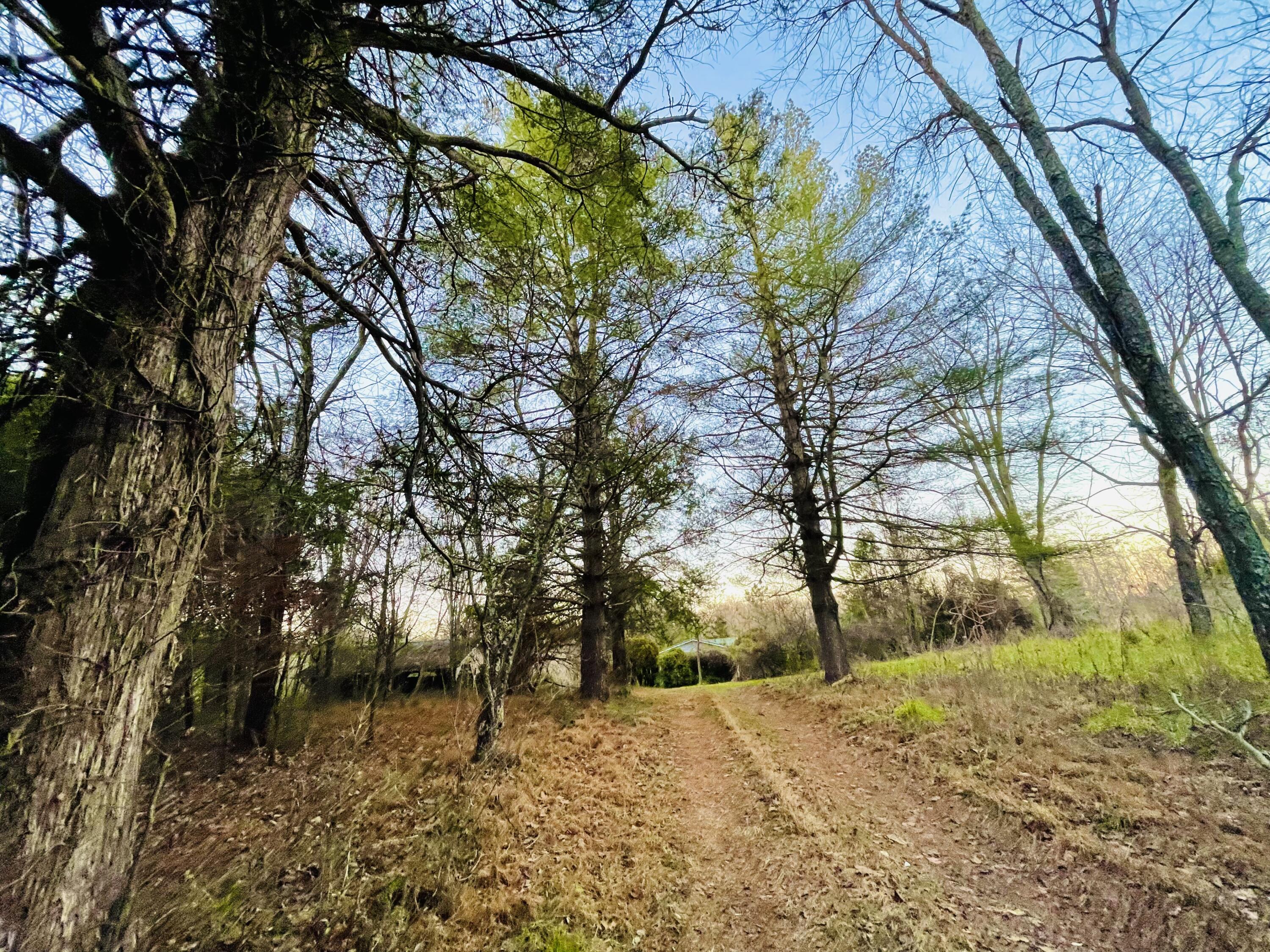Secluded Entrance