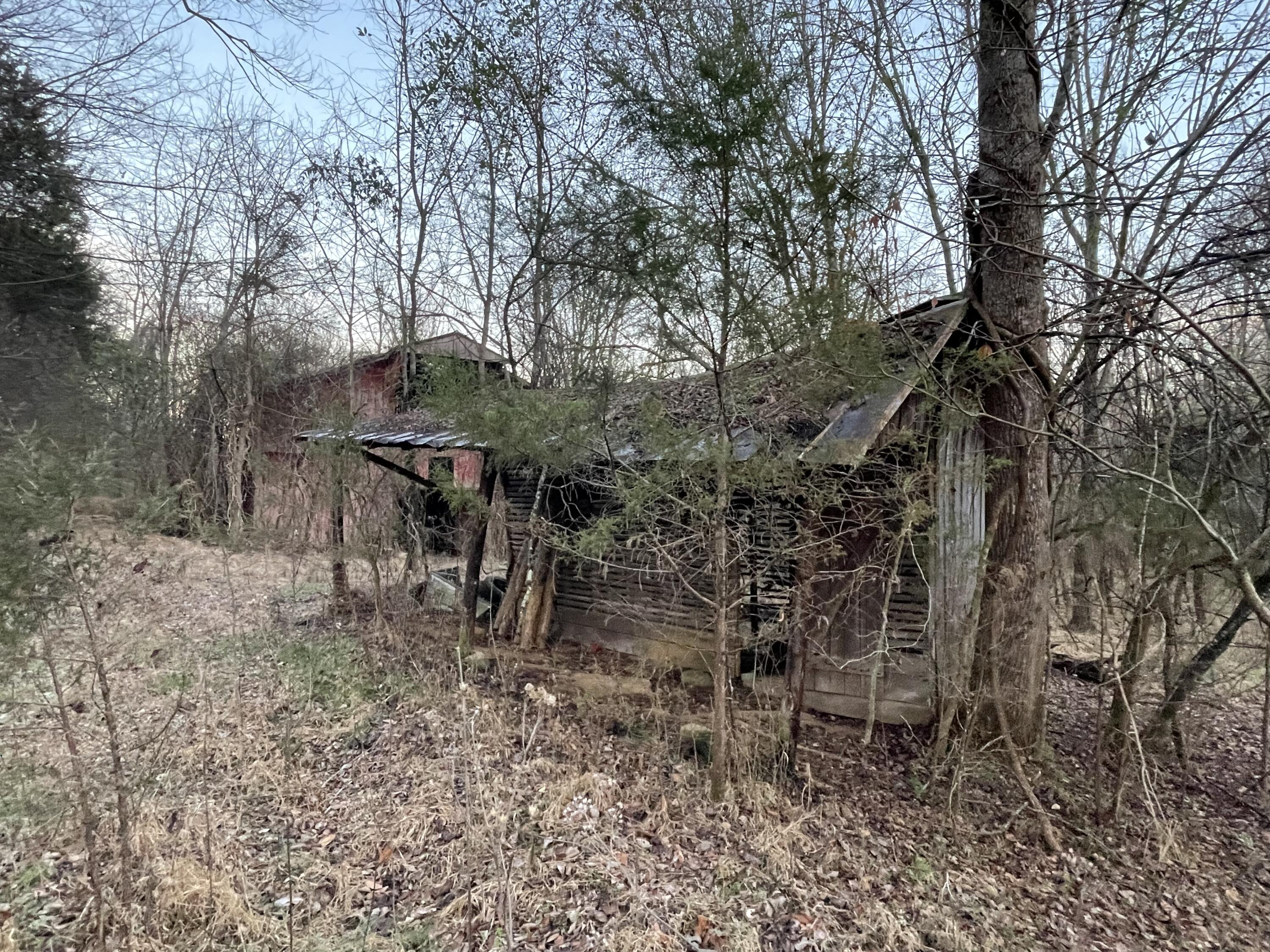 515 Gregg Mill Road Greeneville, TN 37743 - Photo 72 of 102 Coop for chickens.