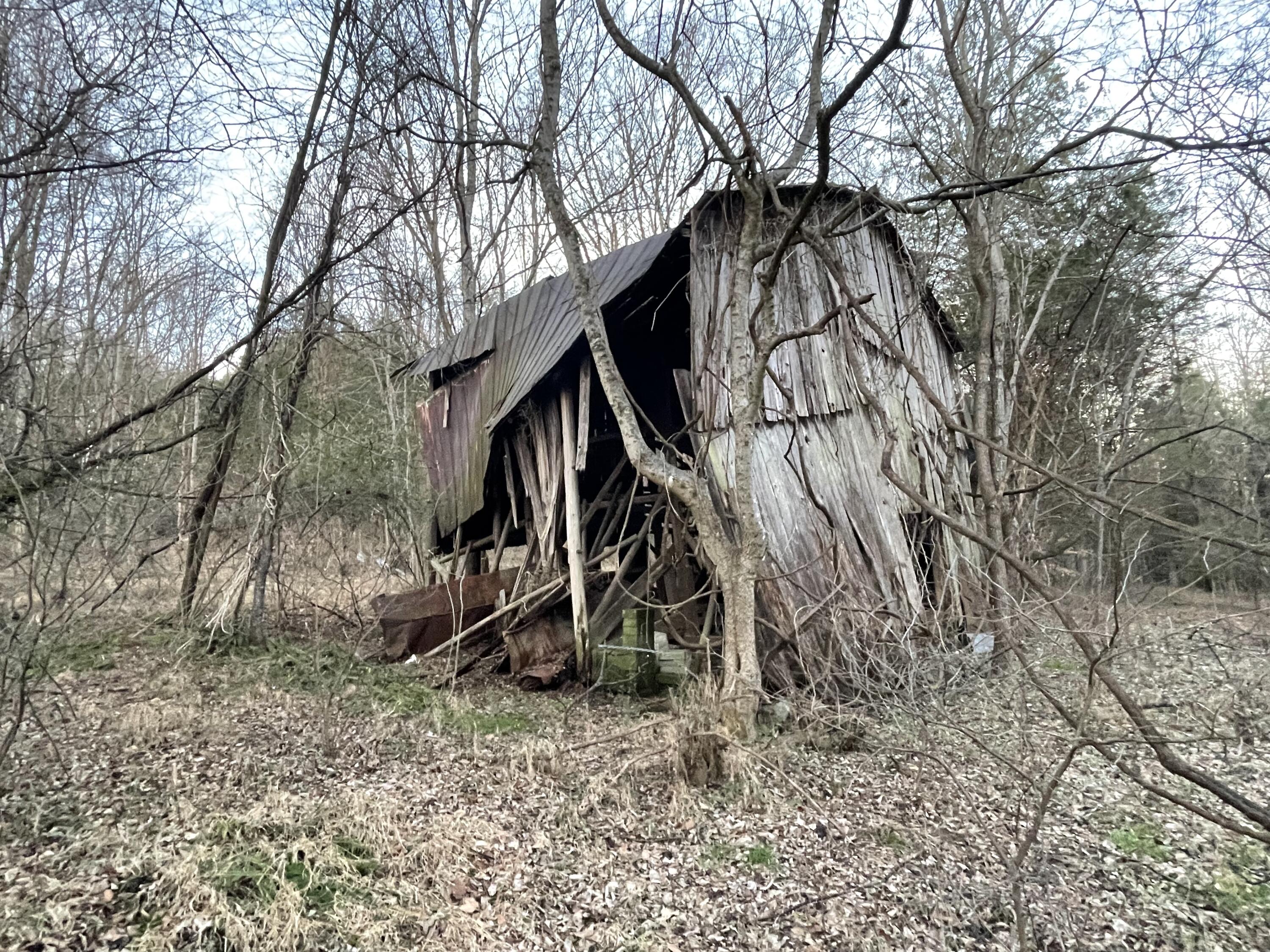 515 Gregg Mill Road Greeneville, TN 37743 - Photo 74 of 102 Back View!