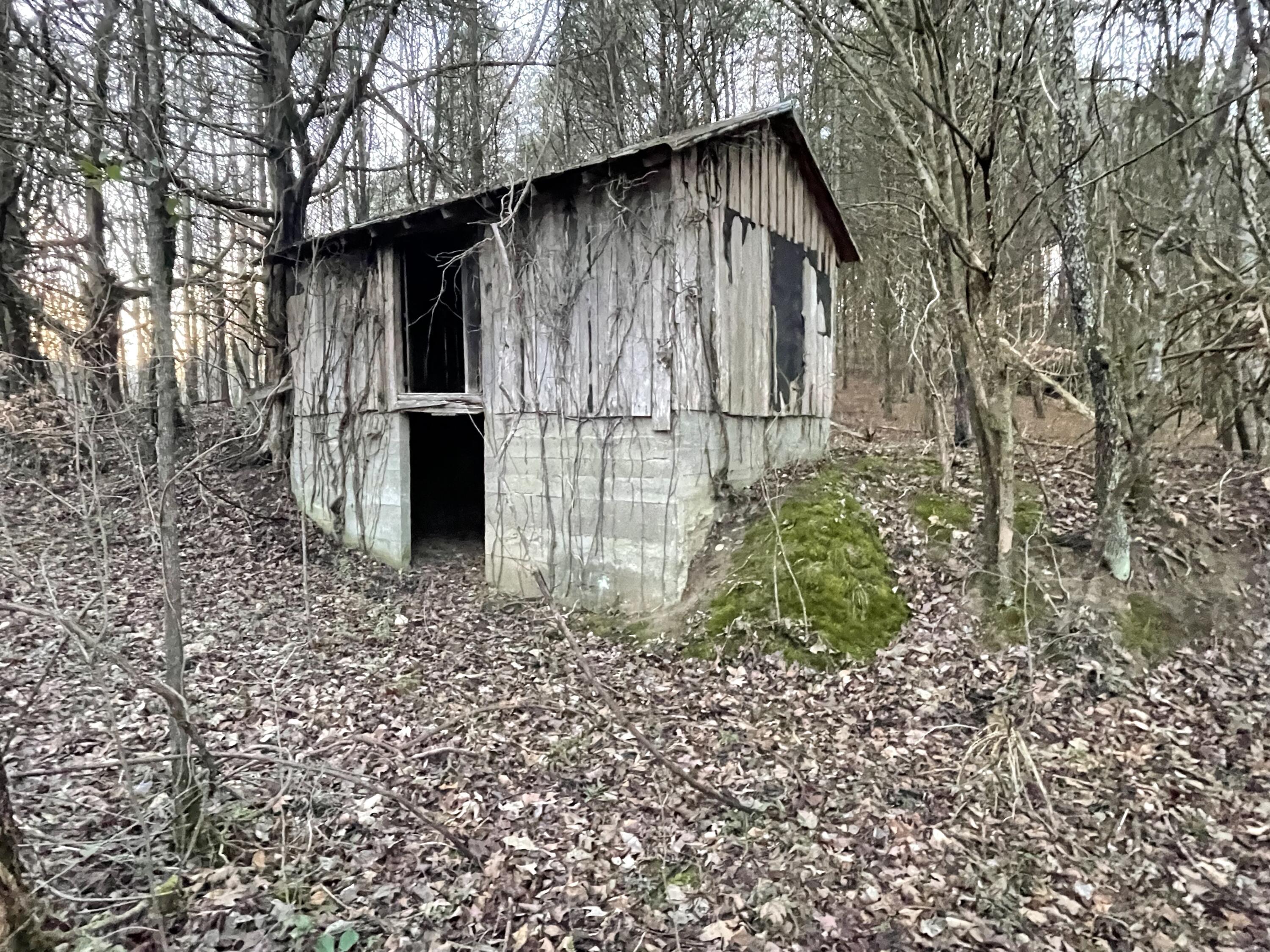 515 Gregg Mill Road Greeneville, TN 37743 - Photo 75 of 102 Feed storage!