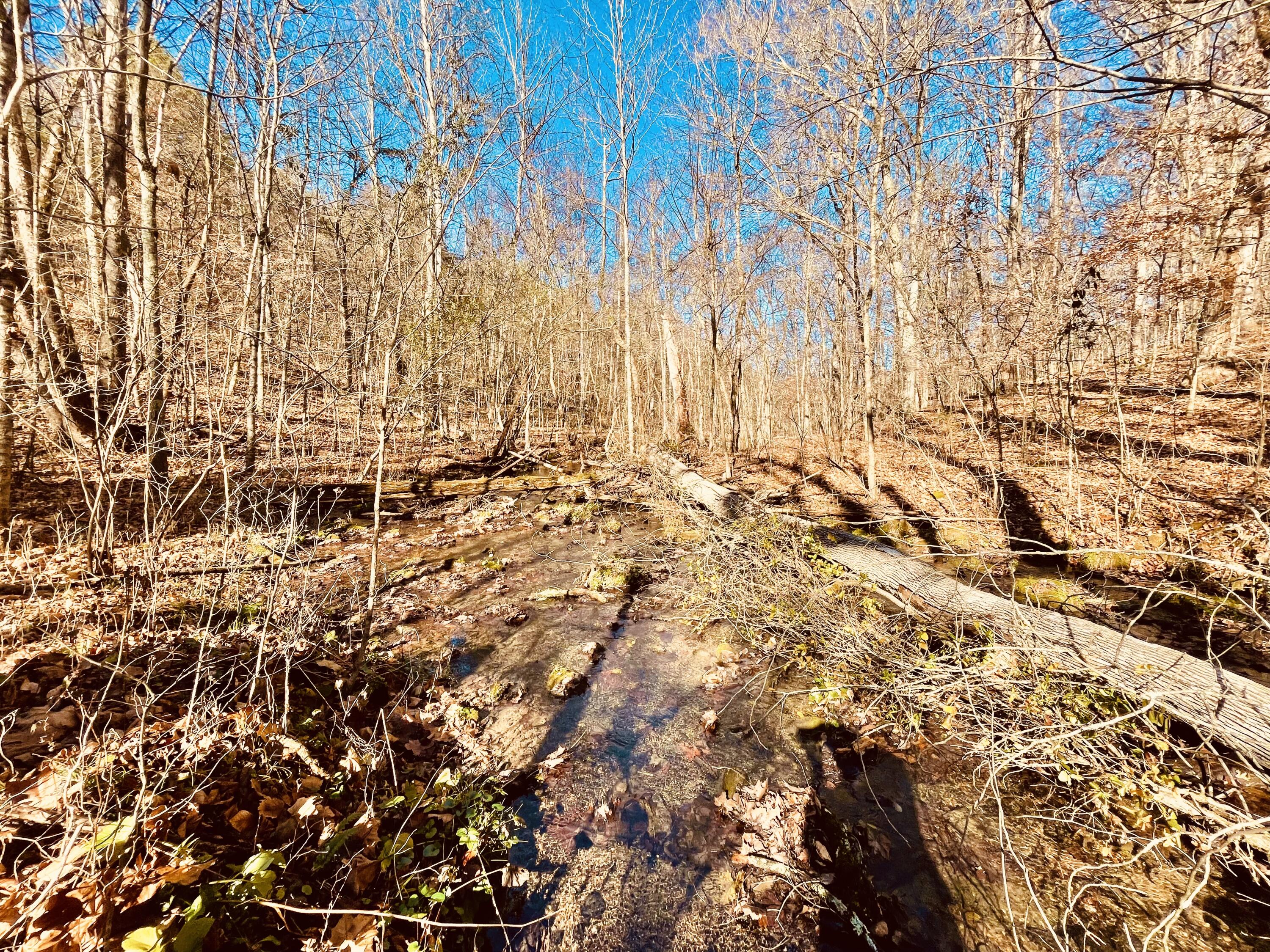 515 Gregg Mill Road Greeneville, TN 37743 - Photo 77 of 102 Gregg Creek!