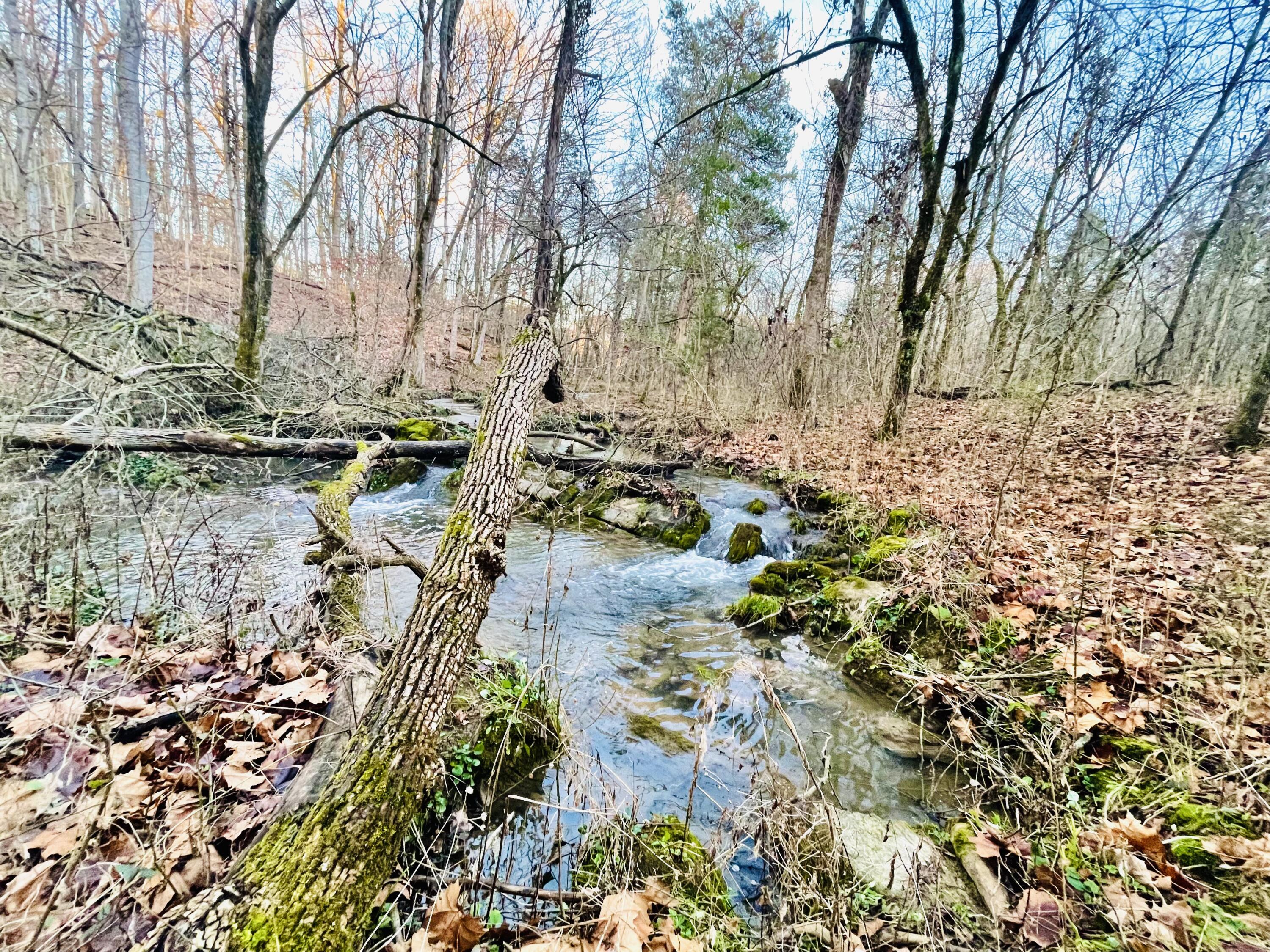 515 Gregg Mill Road Greeneville, TN 37743 - Photo 82 of 102 Sitting place near the creek!