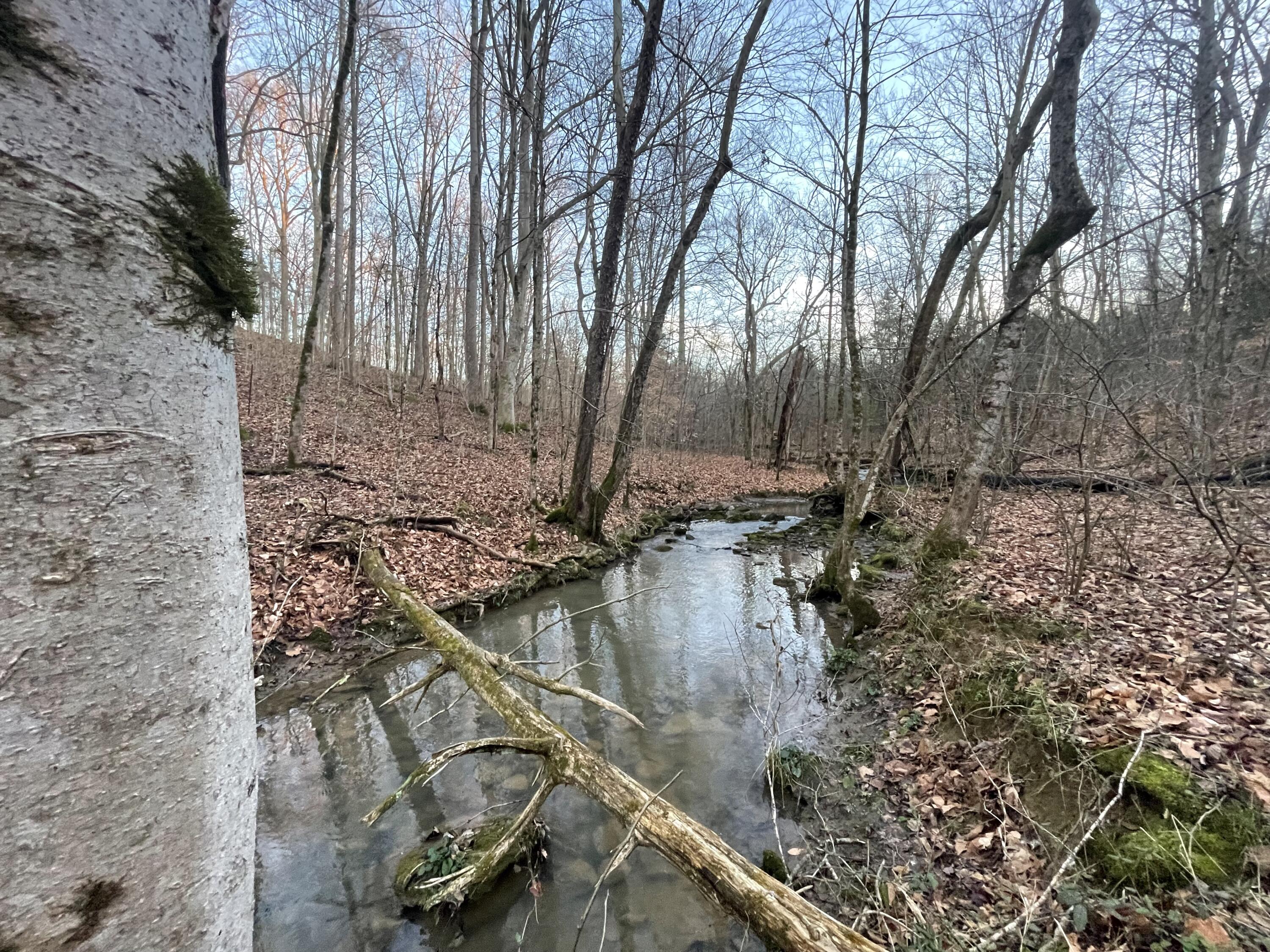 515 Gregg Mill Road Greeneville, TN 37743 - Photo 84 of 102 Gregg Creek!