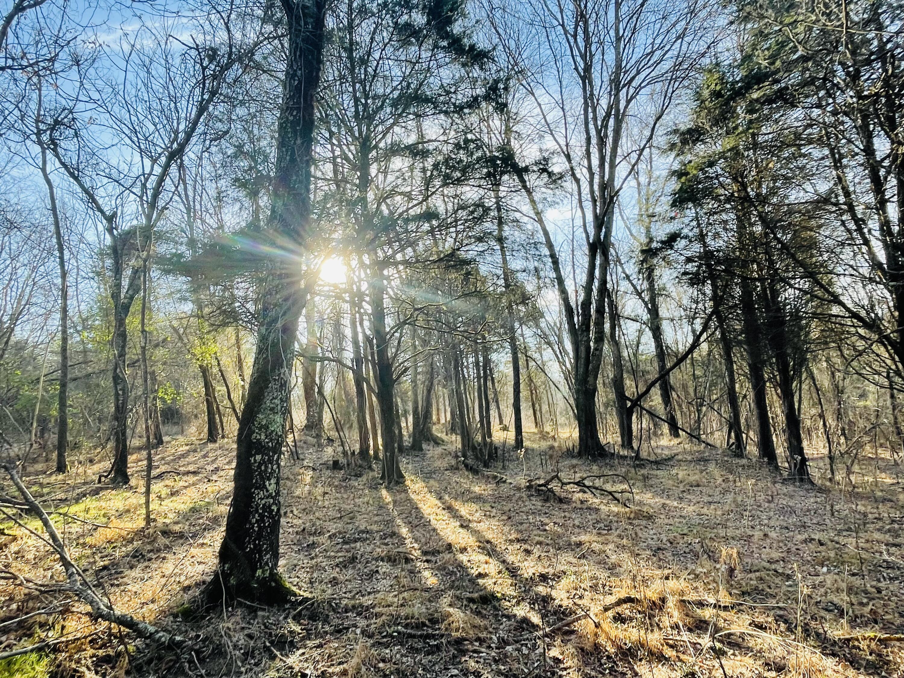 515 Gregg Mill Road Greeneville, TN 37743 - Photo 85 of 102 Property views!