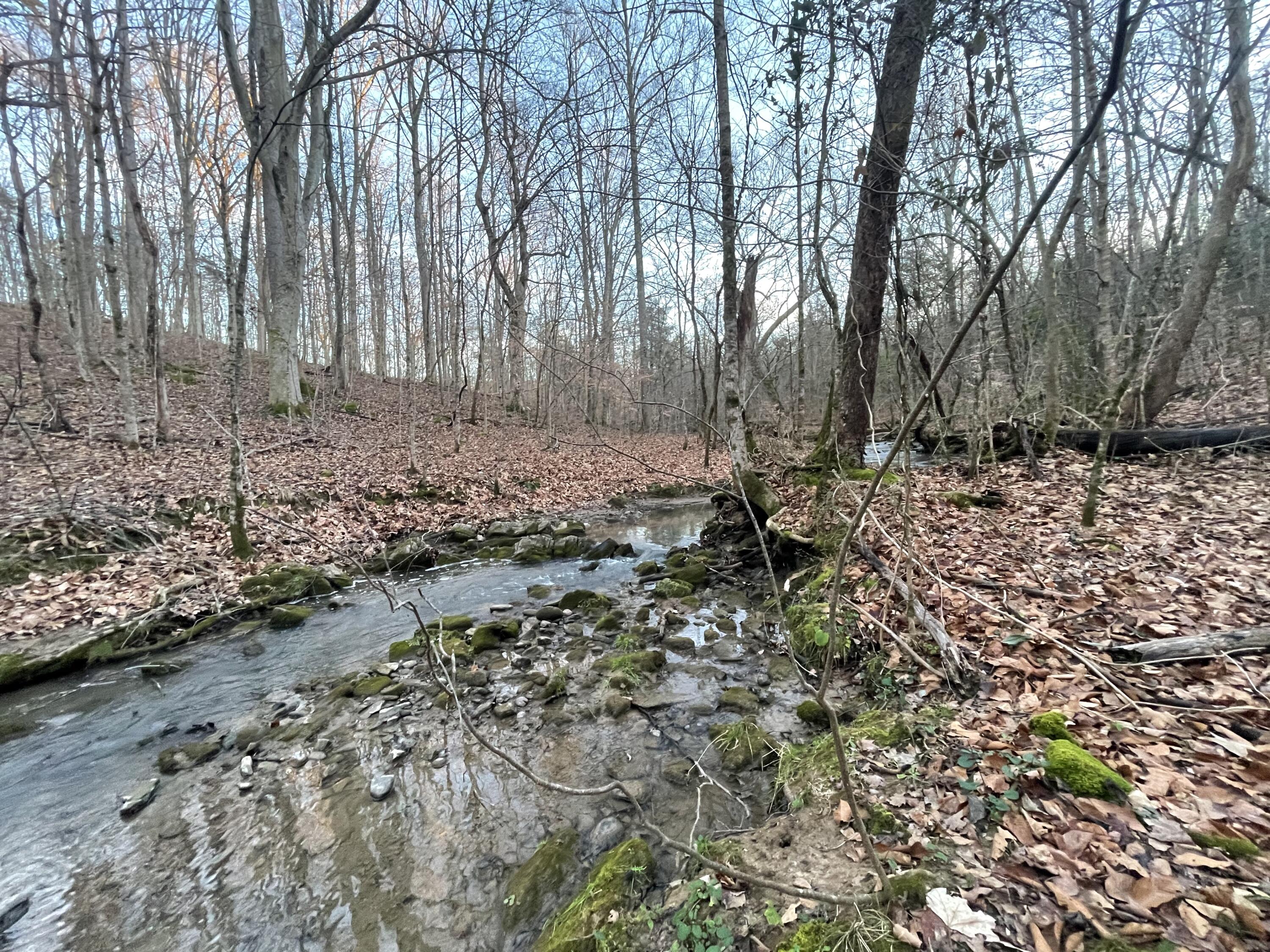 515 Gregg Mill Road Greeneville, TN 37743 - Photo 87 of 102 Cascades of Gregg Creek!