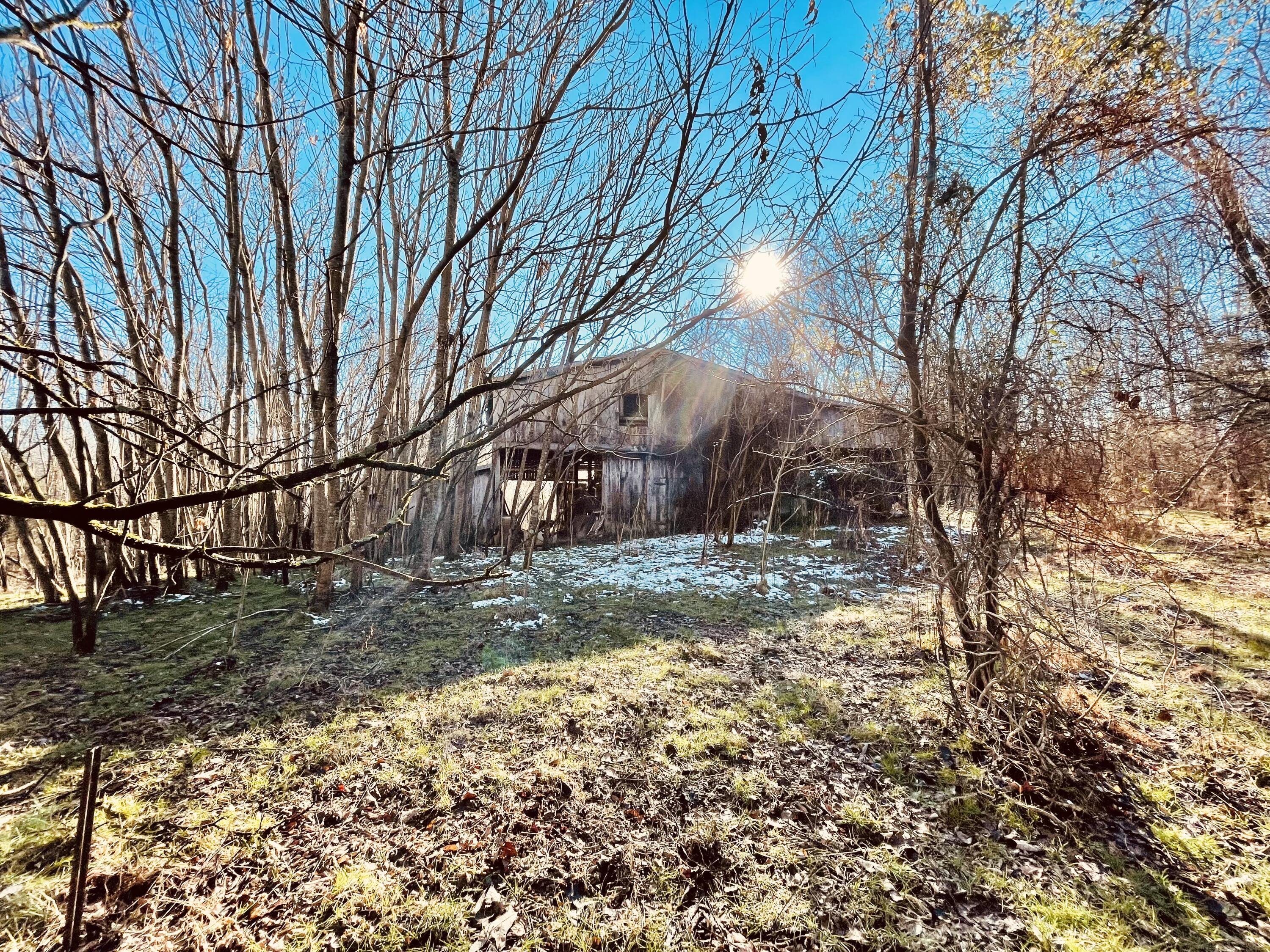 515 Gregg Mill Road Greeneville, TN 37743 - Photo 95 of 102 Barn!
