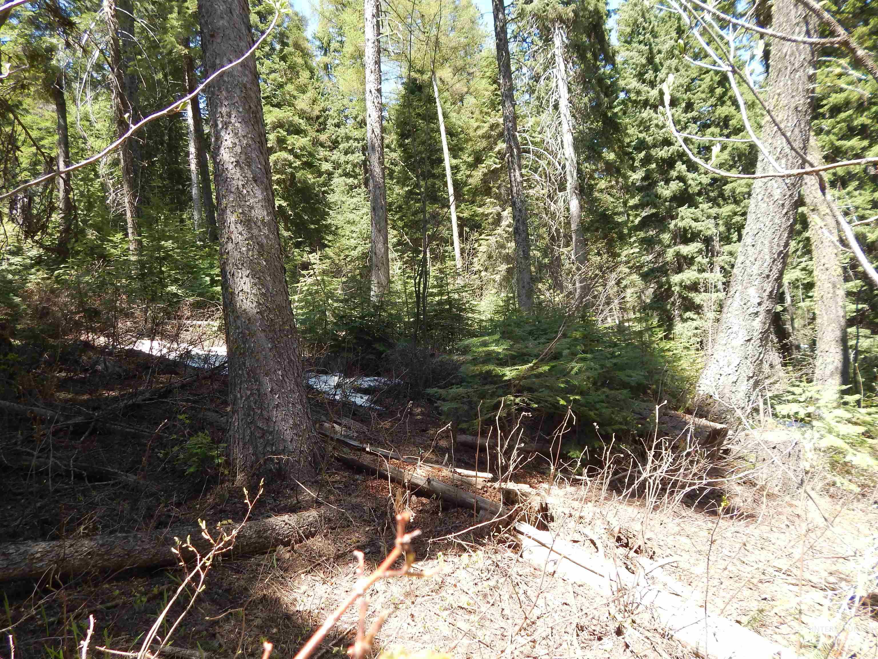 1601 Bear Trail Loop Cascade, ID 83611 - Photo 14 of 26