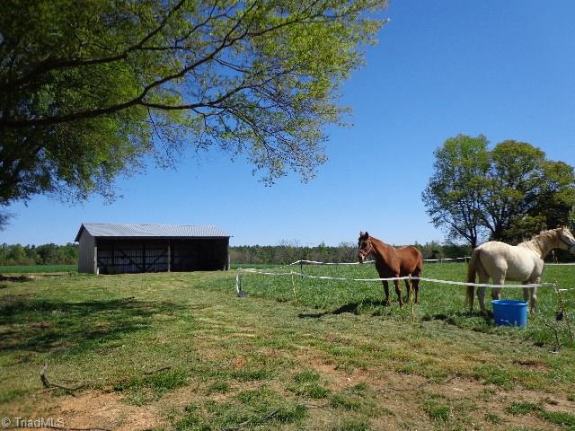 2066 Browns Crossroads Road Staley, NC 27355 - Photo 15 of 17 View of land. Great for Horses