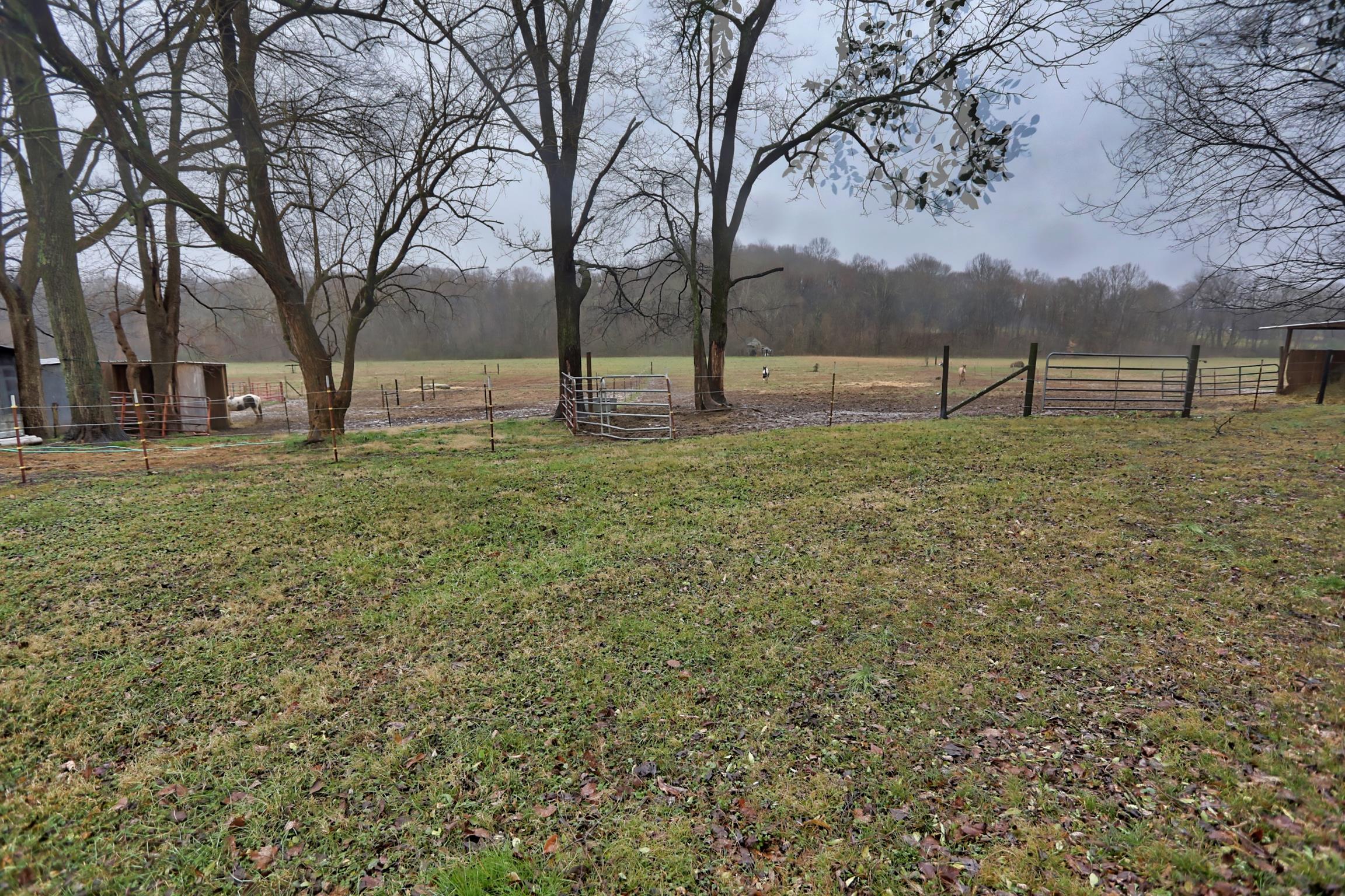 3686 Armstrong Road Springfield, TN 37172 - Photo 26 of 30 a view of backyard with green space