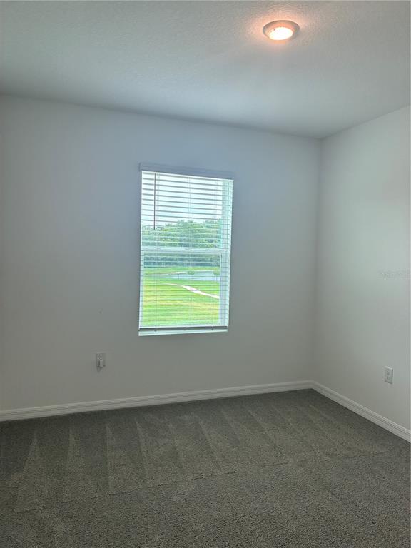 1550 Ranchette Road Wesley Chapel, FL 33543 - Photo 16 of 30