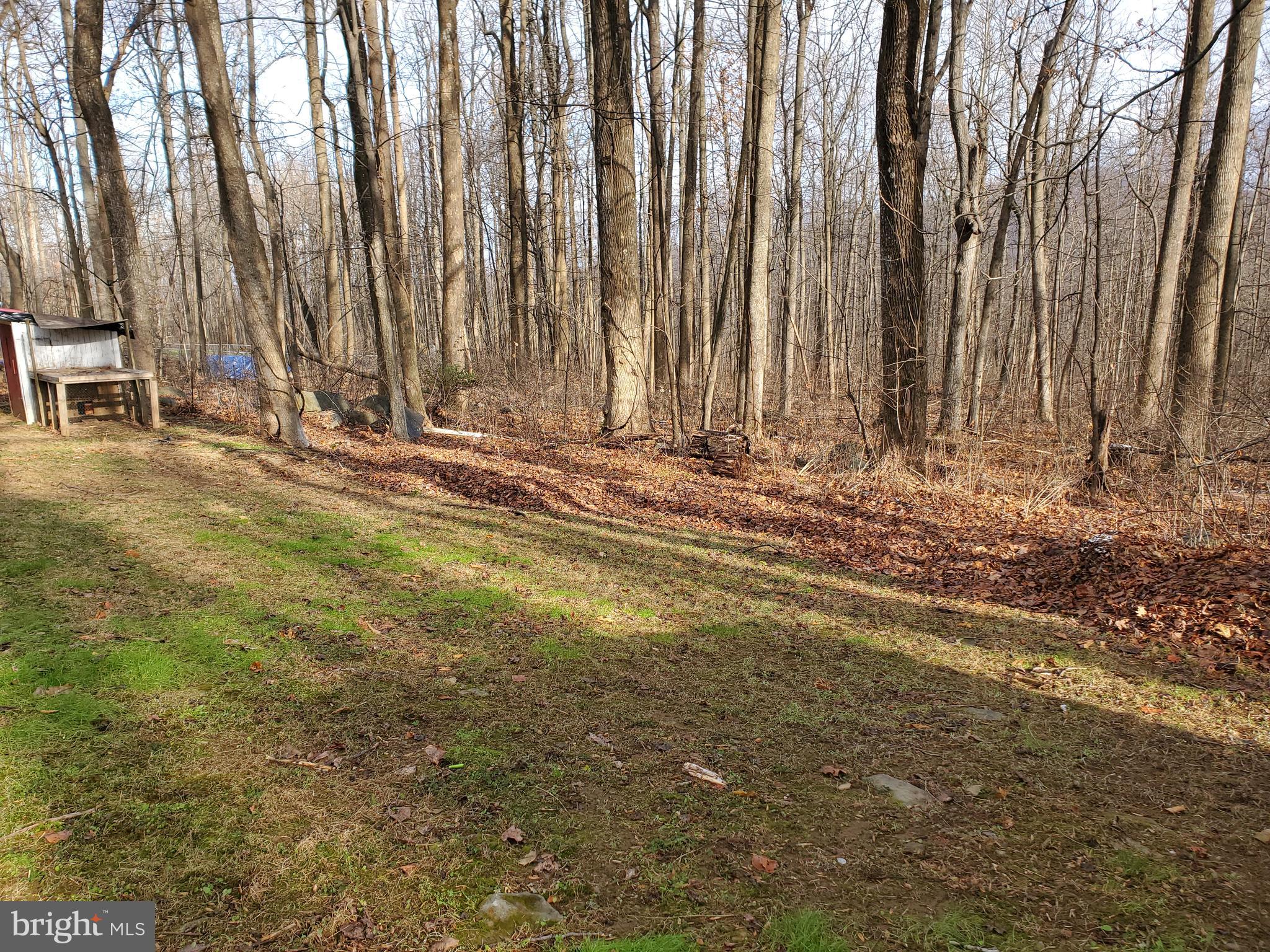 153 Highridge Road Front Royal, VA 22630 - Photo 22 of 25