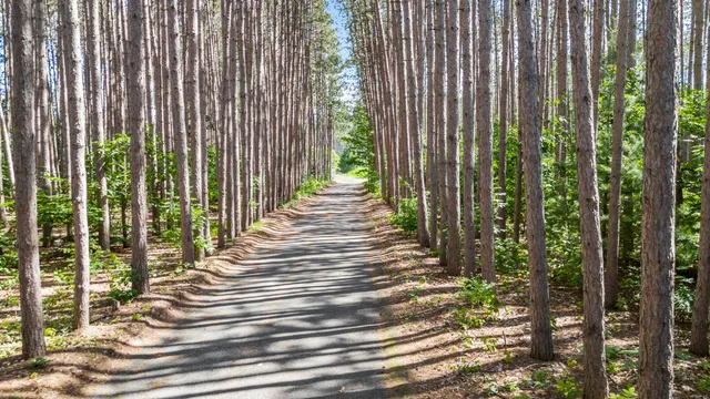 $324,999 | 3914 135th Avenue, Hersey, MI 49639