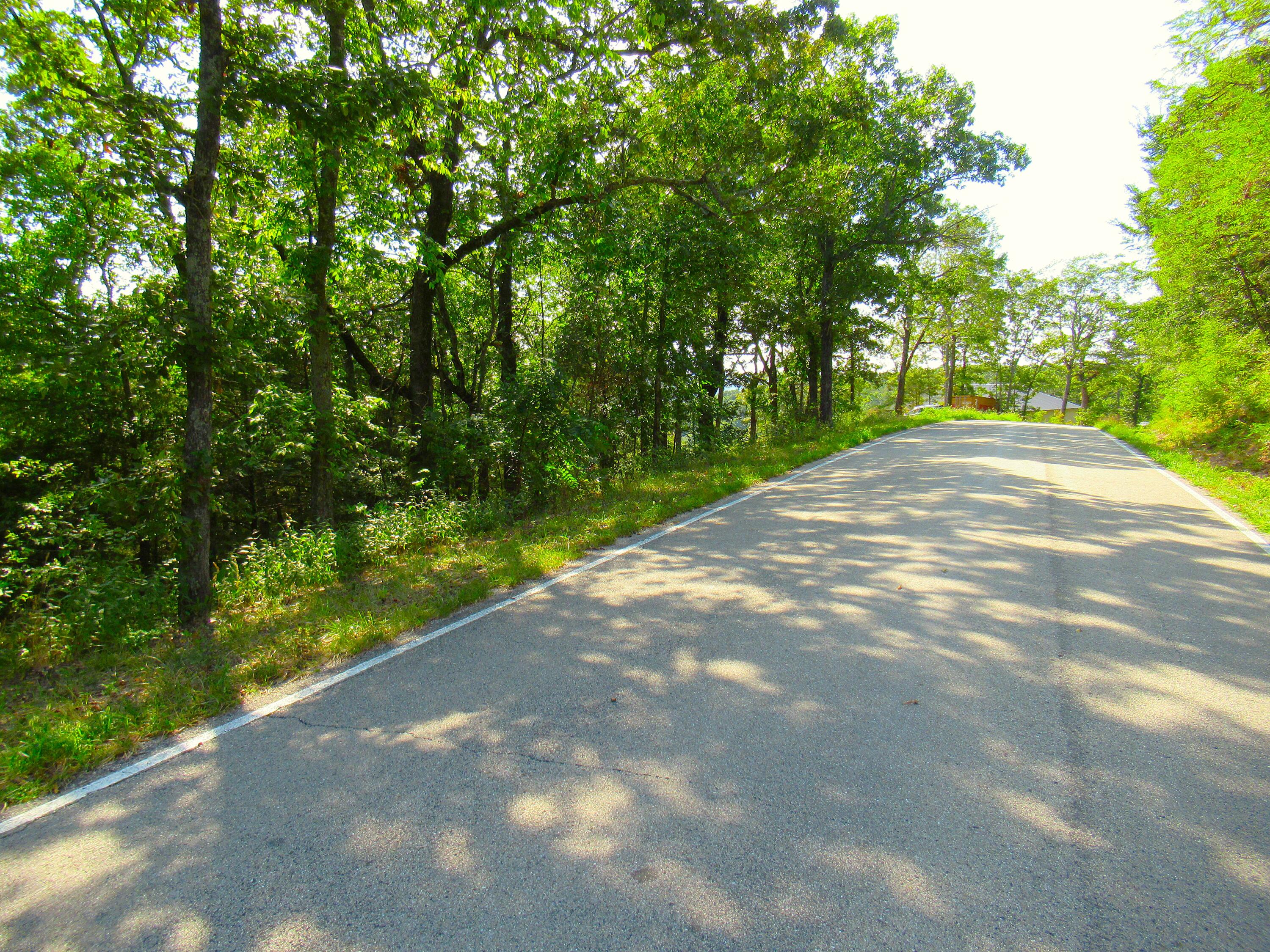 0 Stallion Bluff Road Shell Knob, MO 65747 - Photo 2 of 24 IMG_0973
