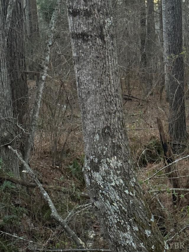 7 Piney Mountain Road Appomattox, VA 24522 - Photo 15 of 24 a view of a yard