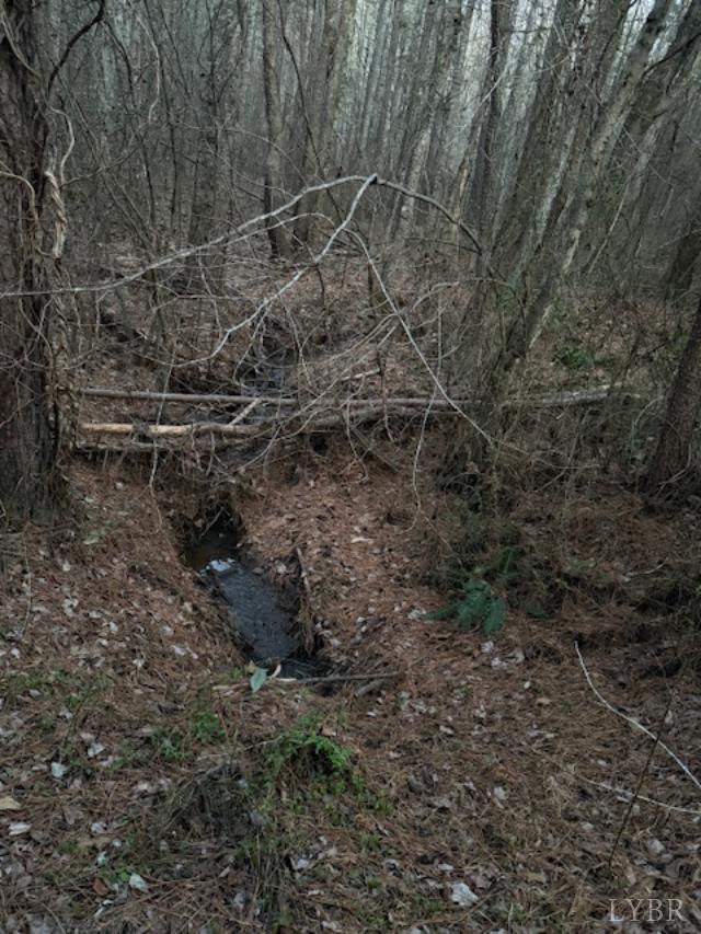 7 Piney Mountain Road Appomattox, VA 24522 - Photo 17 of 24 a view of a dry yard