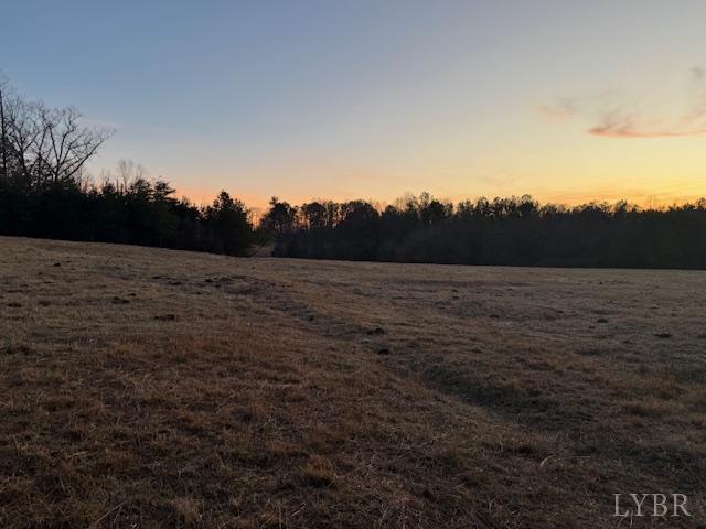 7 Piney Mountain Road Appomattox, VA 24522 - Photo 19 of 24 a view of dirt field with trees in the background